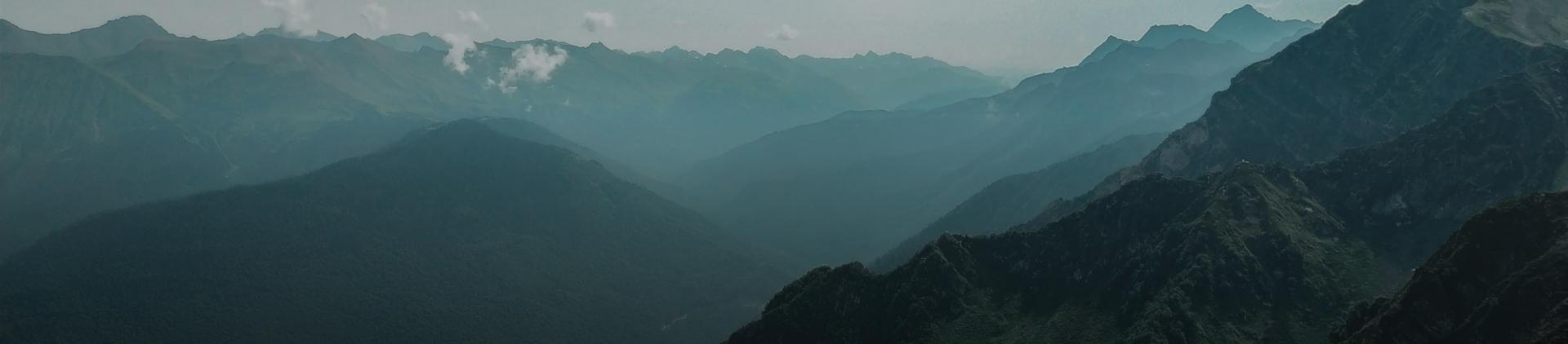 search-background
