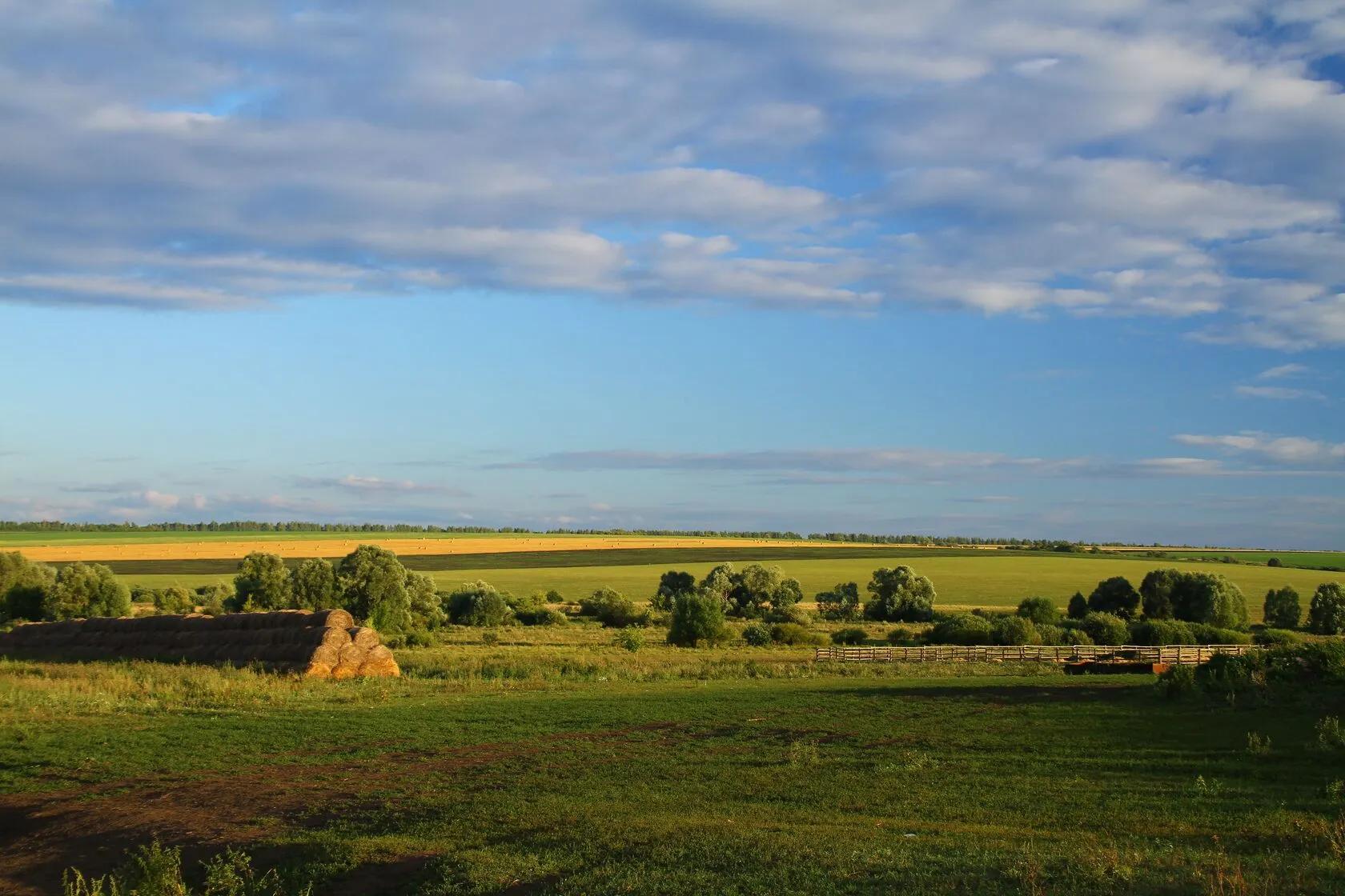 Сельский пейзаж в Нижегородской области