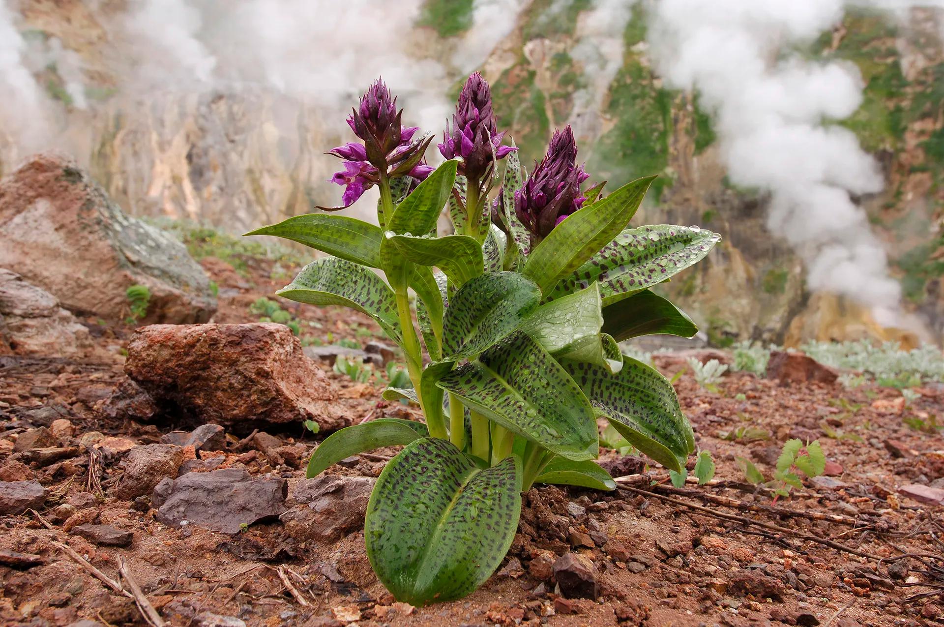 Фото: Игорь Шпиленок
