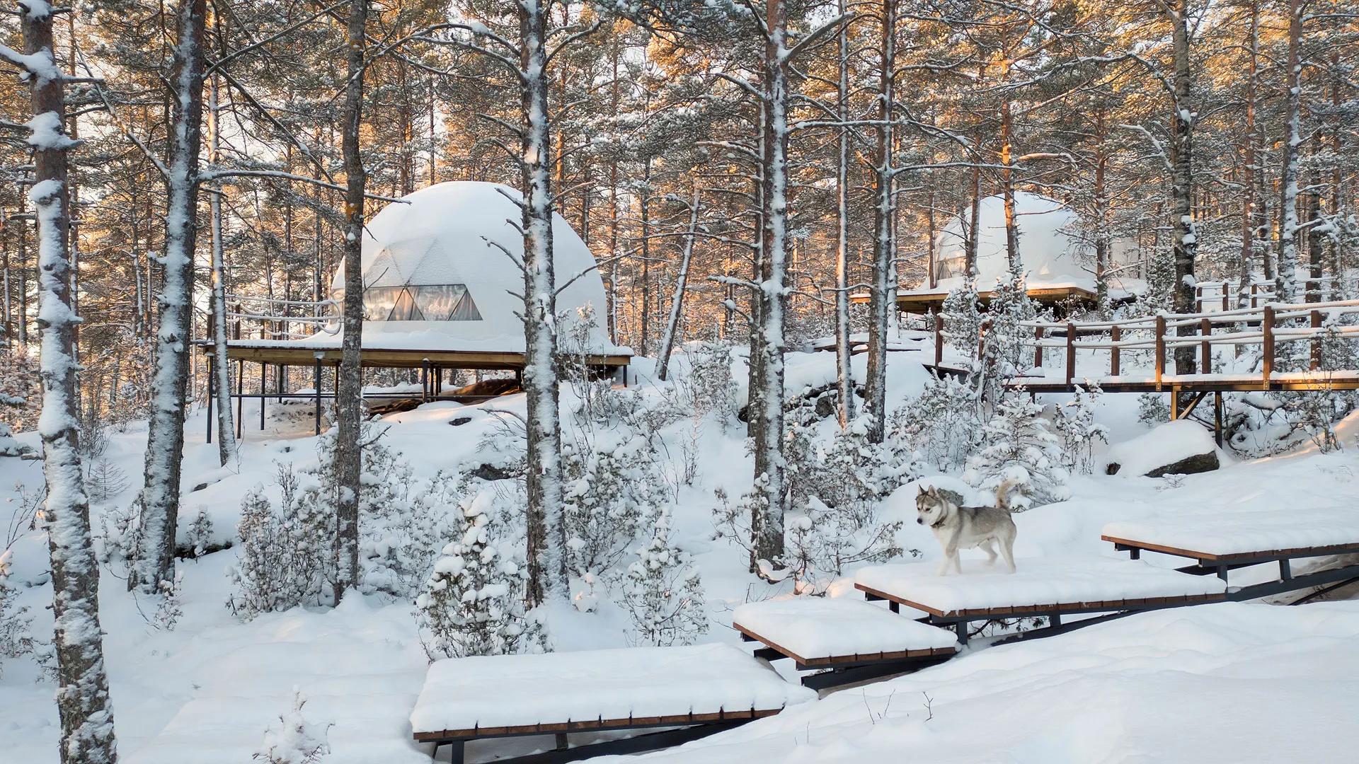 Фото предоставлены глэмпингом Lago Ladoga