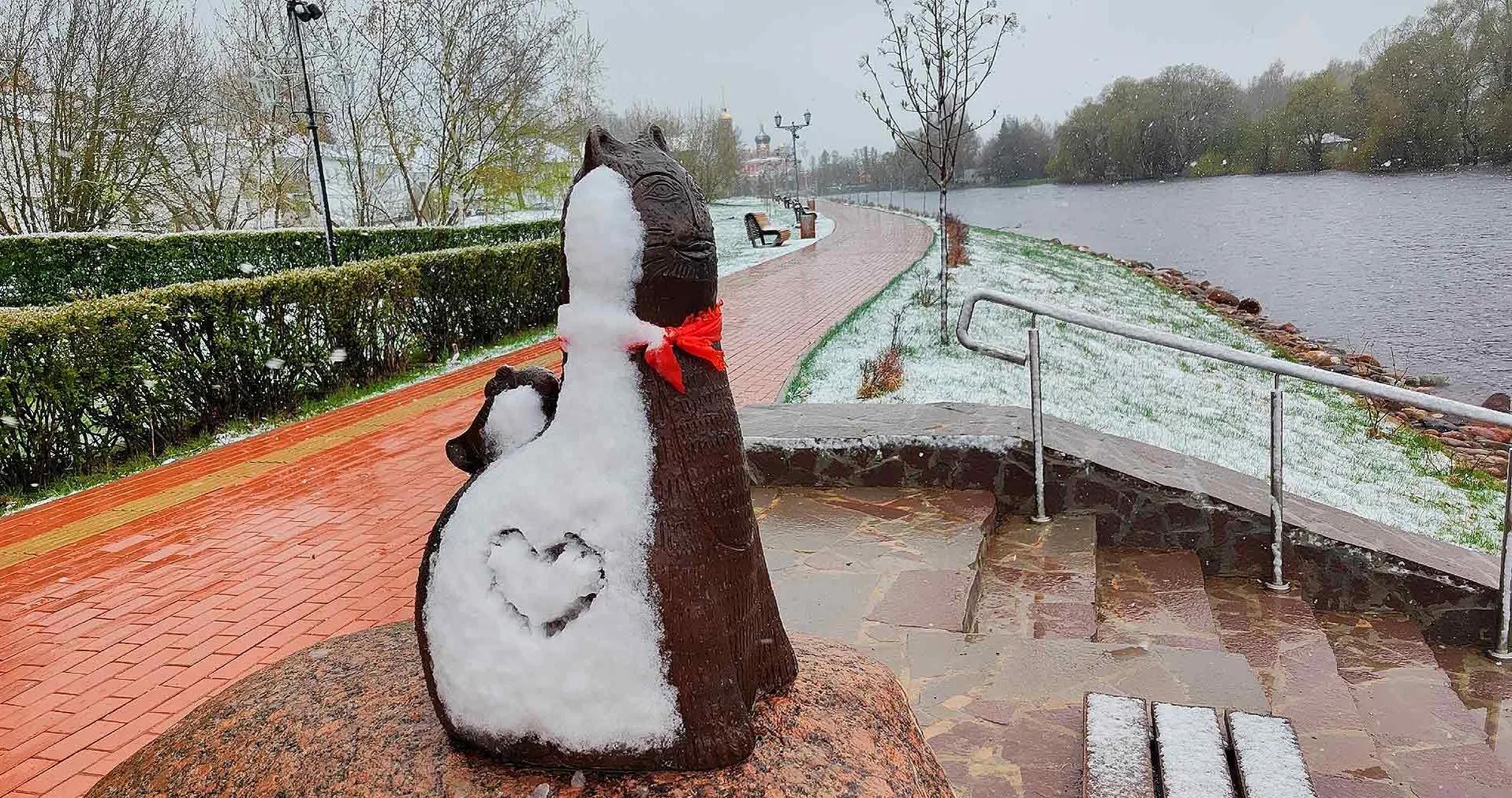 Фото: из личного архива Николая Локотькова