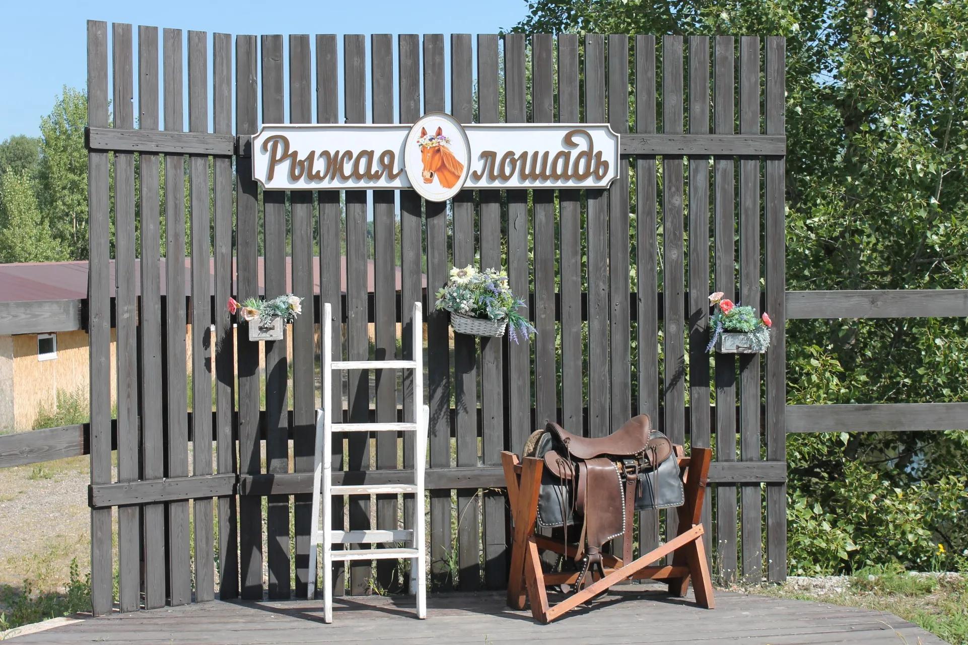 Фото: Департамент развития туризма / Головин А.