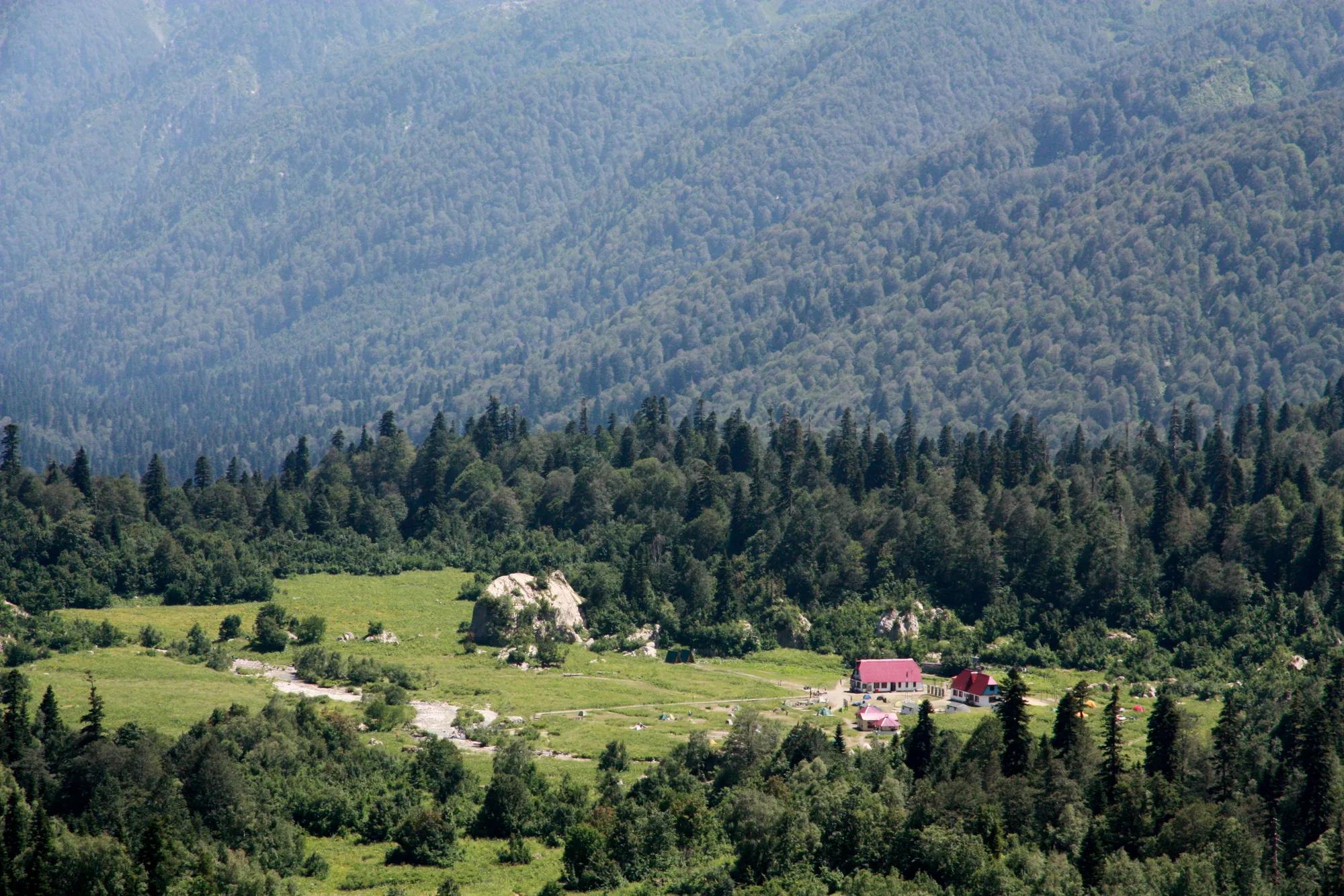 Фото: Кавказский заповедник