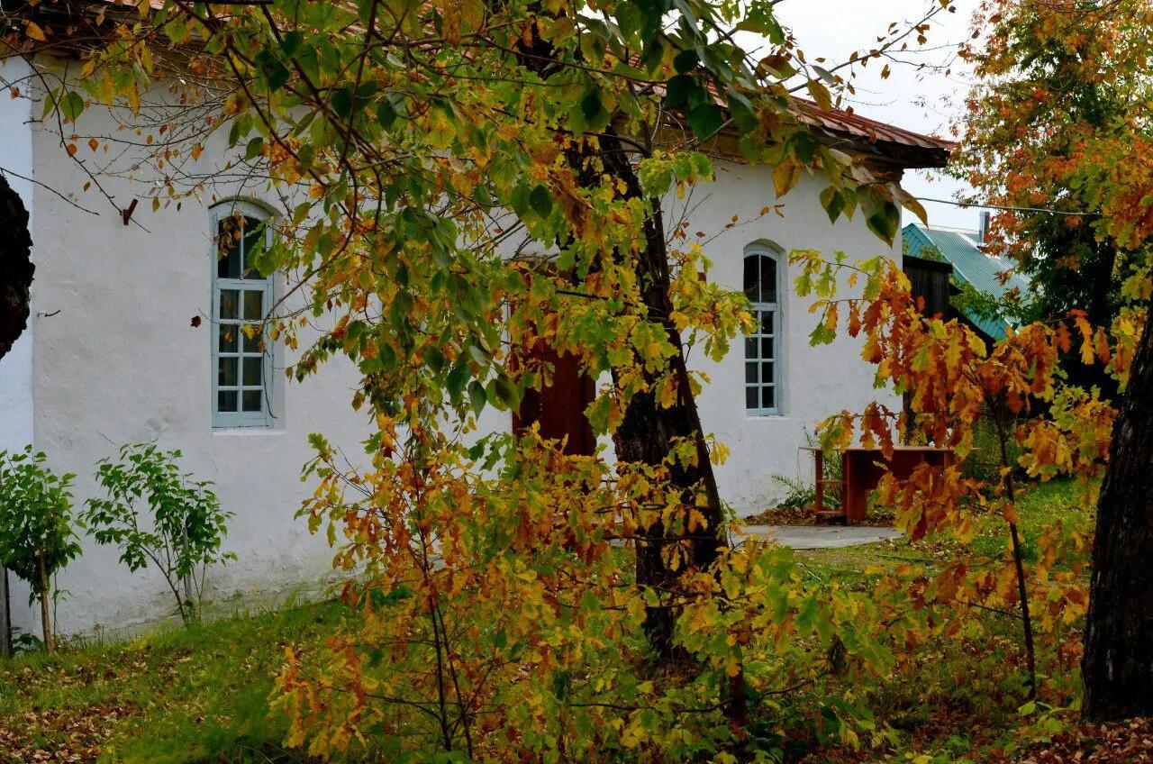 Фото: ГБУ СО «ЦРТ СО»