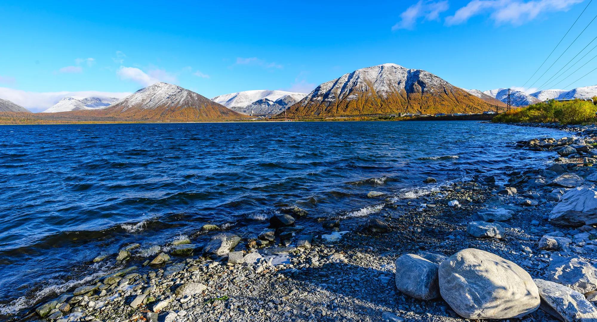 Фото: Shutterstock / A_Mikhail
