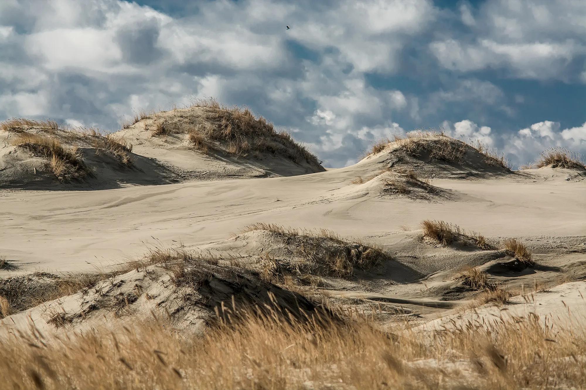 Фото: Shutterstock / Aleksei Karasev