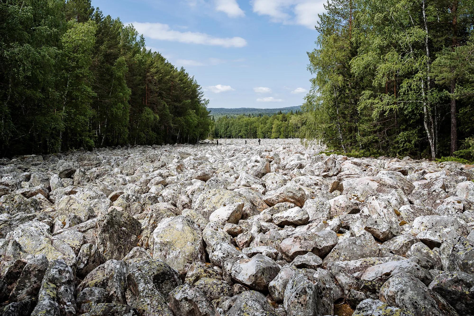 Фото: Shutterstock / Aleksey Matrenin