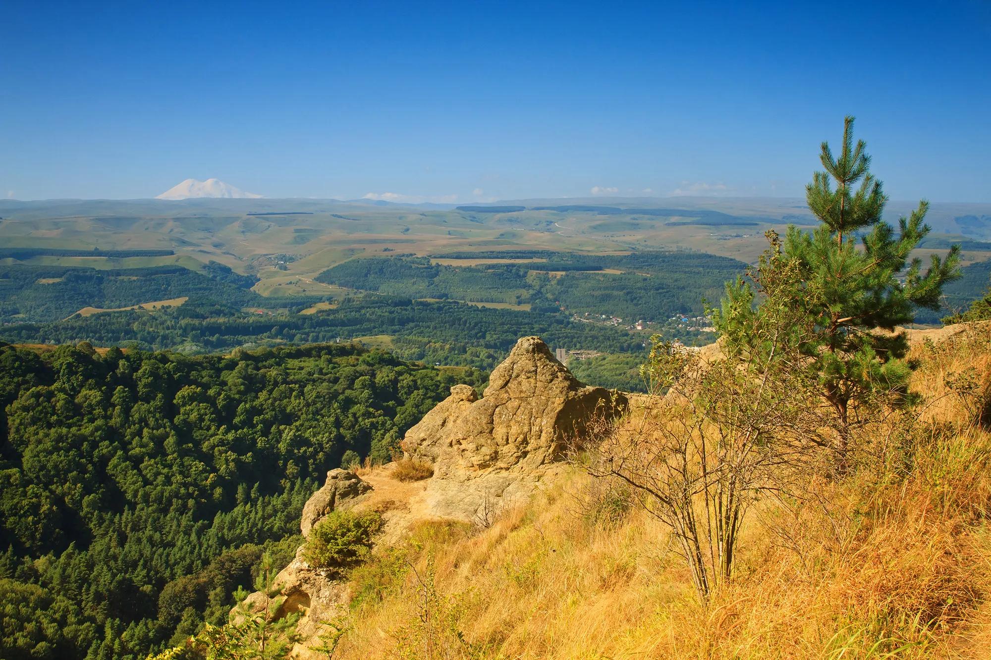 Фото: Shutterstock / Aleksey Nazarov