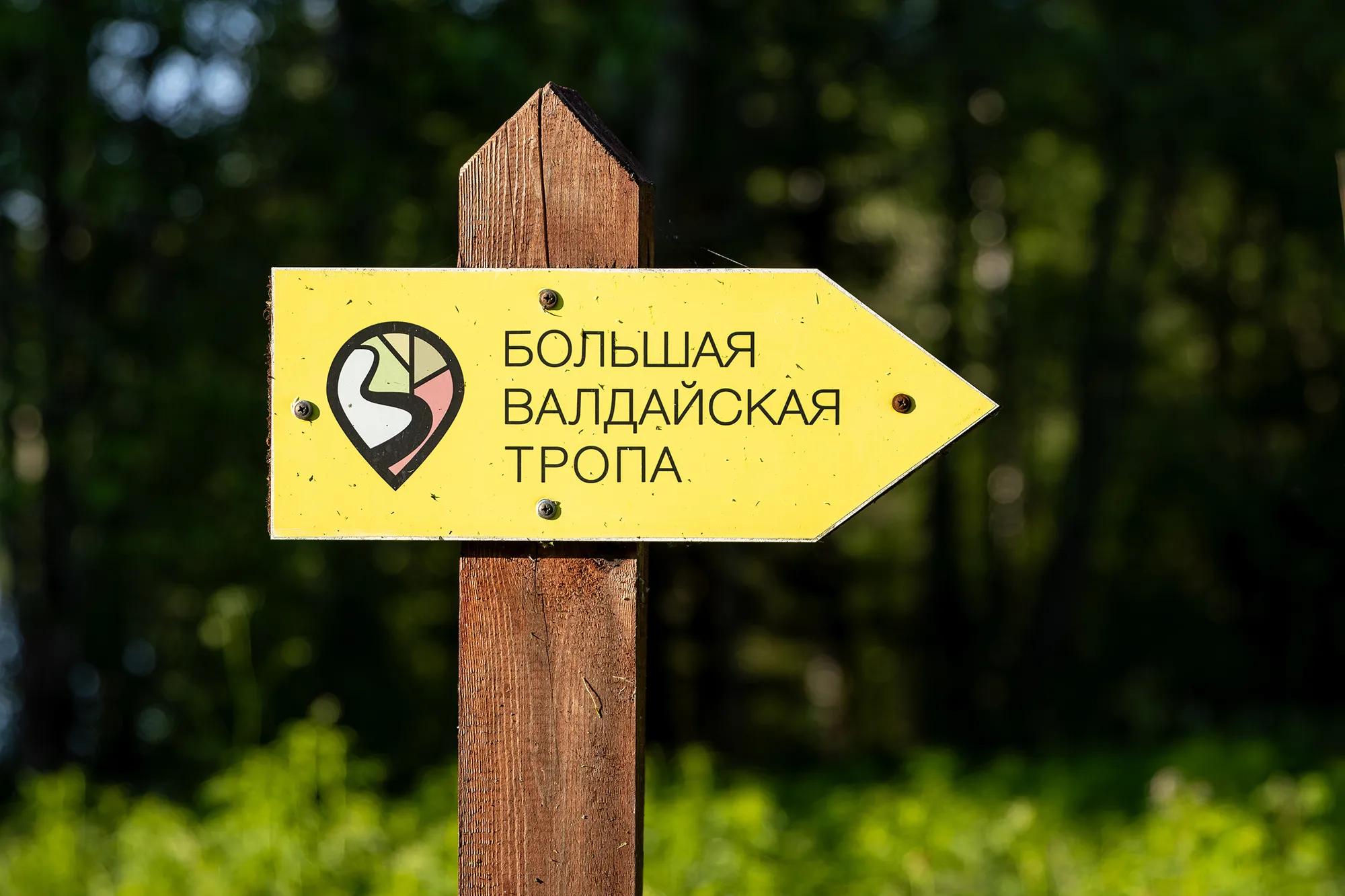Фото: Shutterstock / Andrei Stepanov