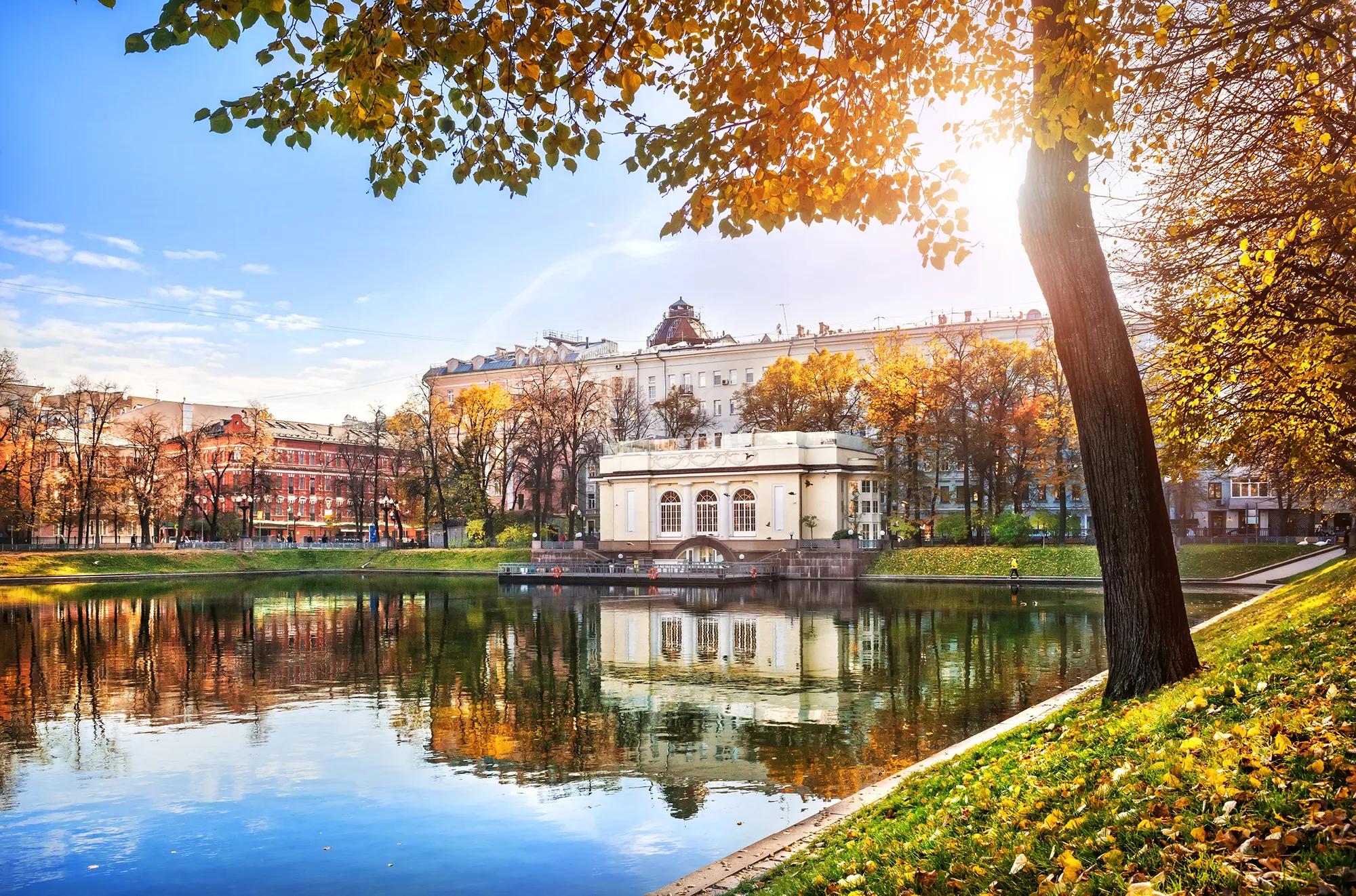 Baturina Yuliya shutterstock_2264346923