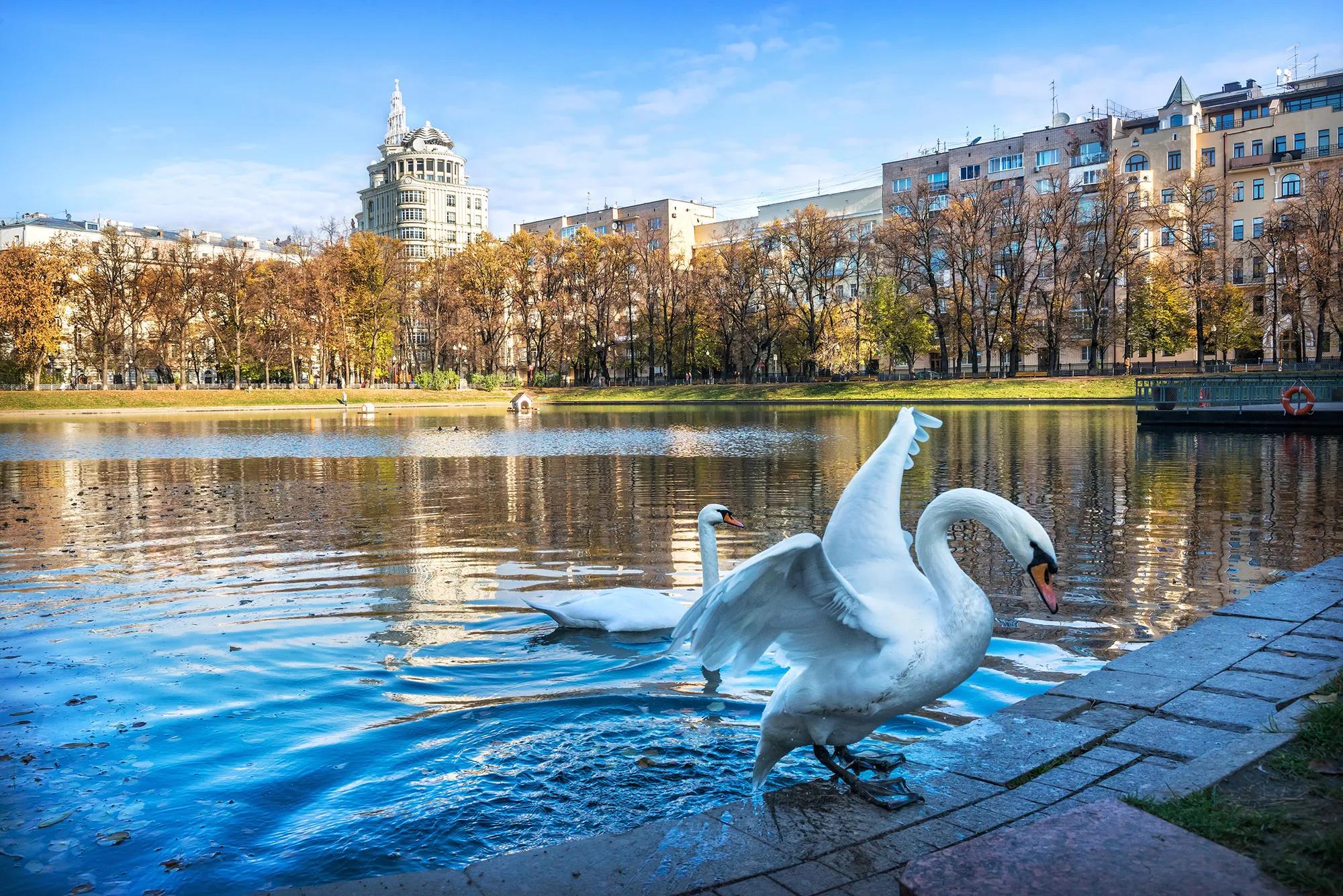 Фото: Shutterstock / Baturina Yuliya