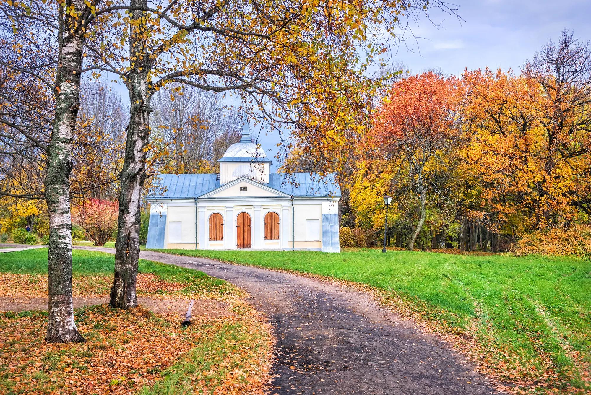 Фото: Shutterstock / Baturina Yuliya
