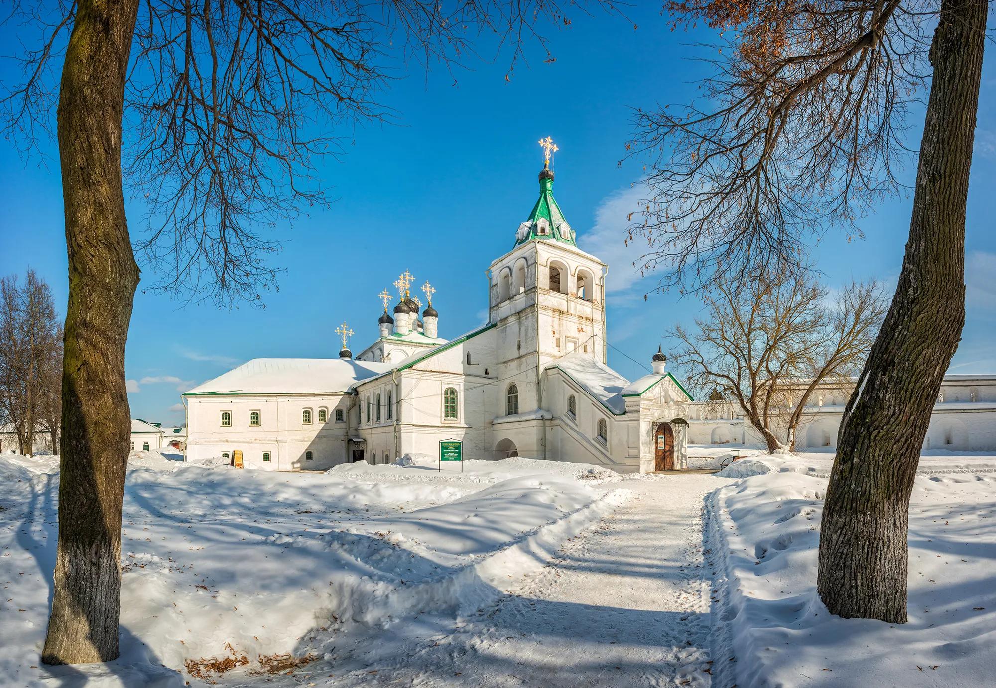 Baturina Yuliya shutterstock_1080140702