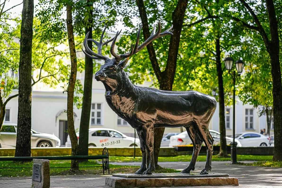 Фото: Центр развития туризма Смоленской области