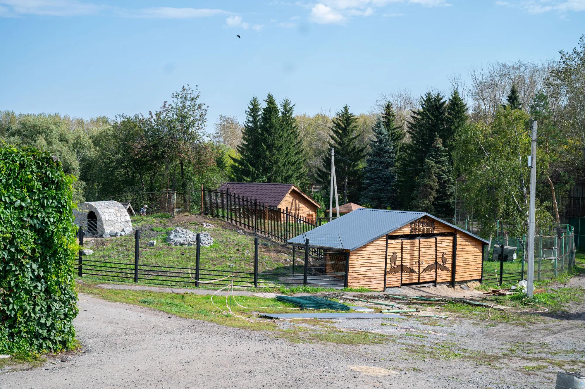 DSC_8000