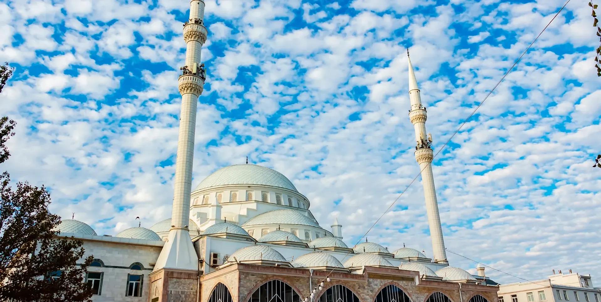 Фото: shutterstock.com (автор Lizavetta)
