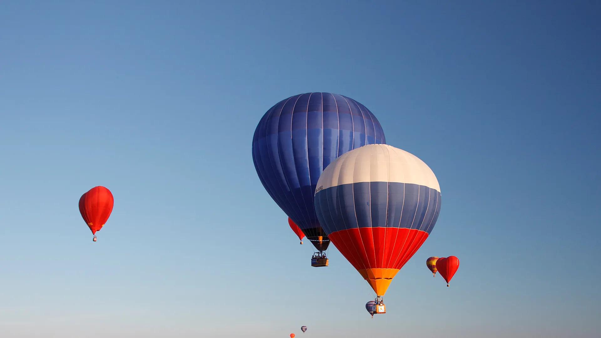Фото: shutterstock.com