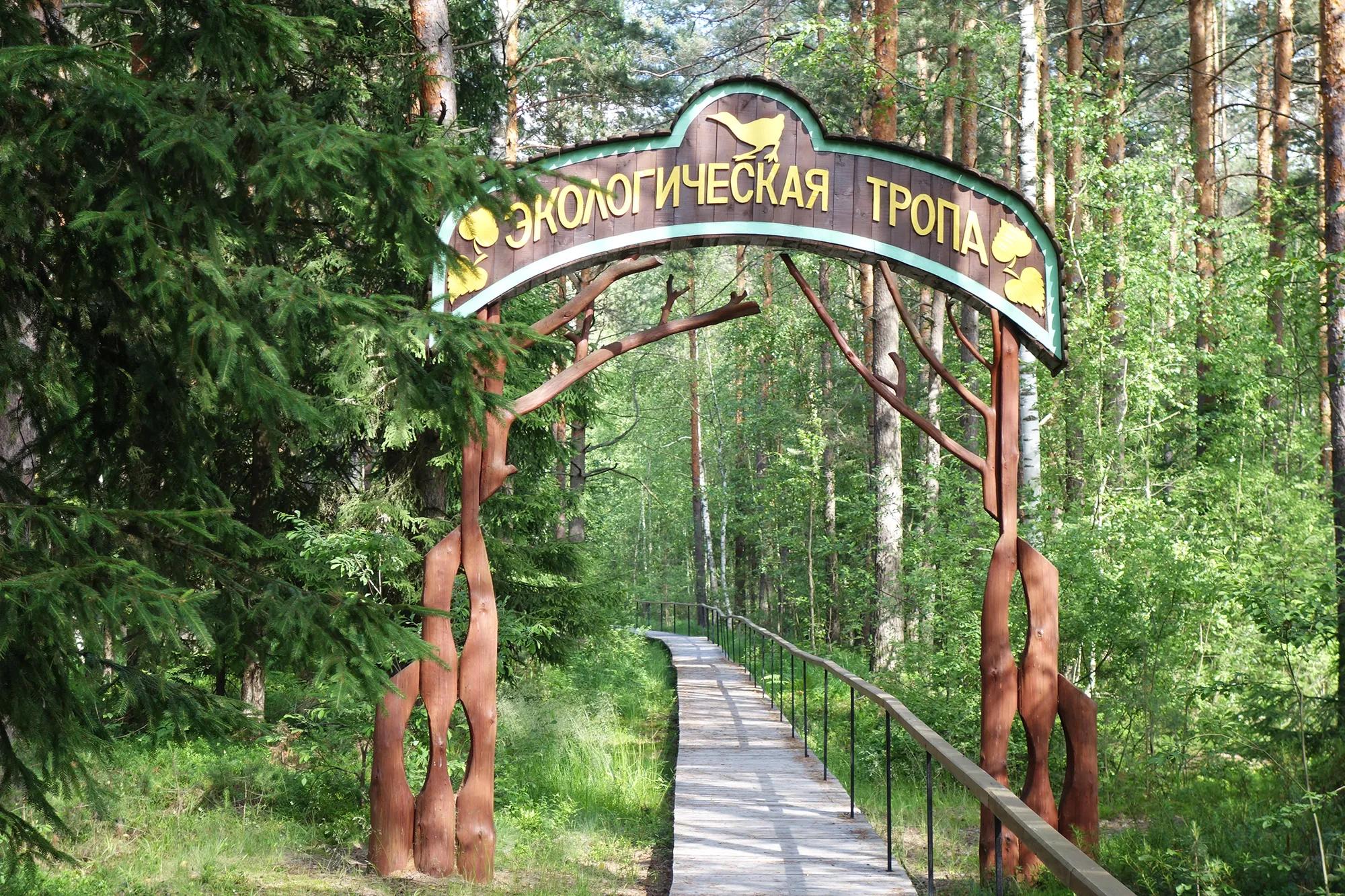 Фото: Возбранная А.
