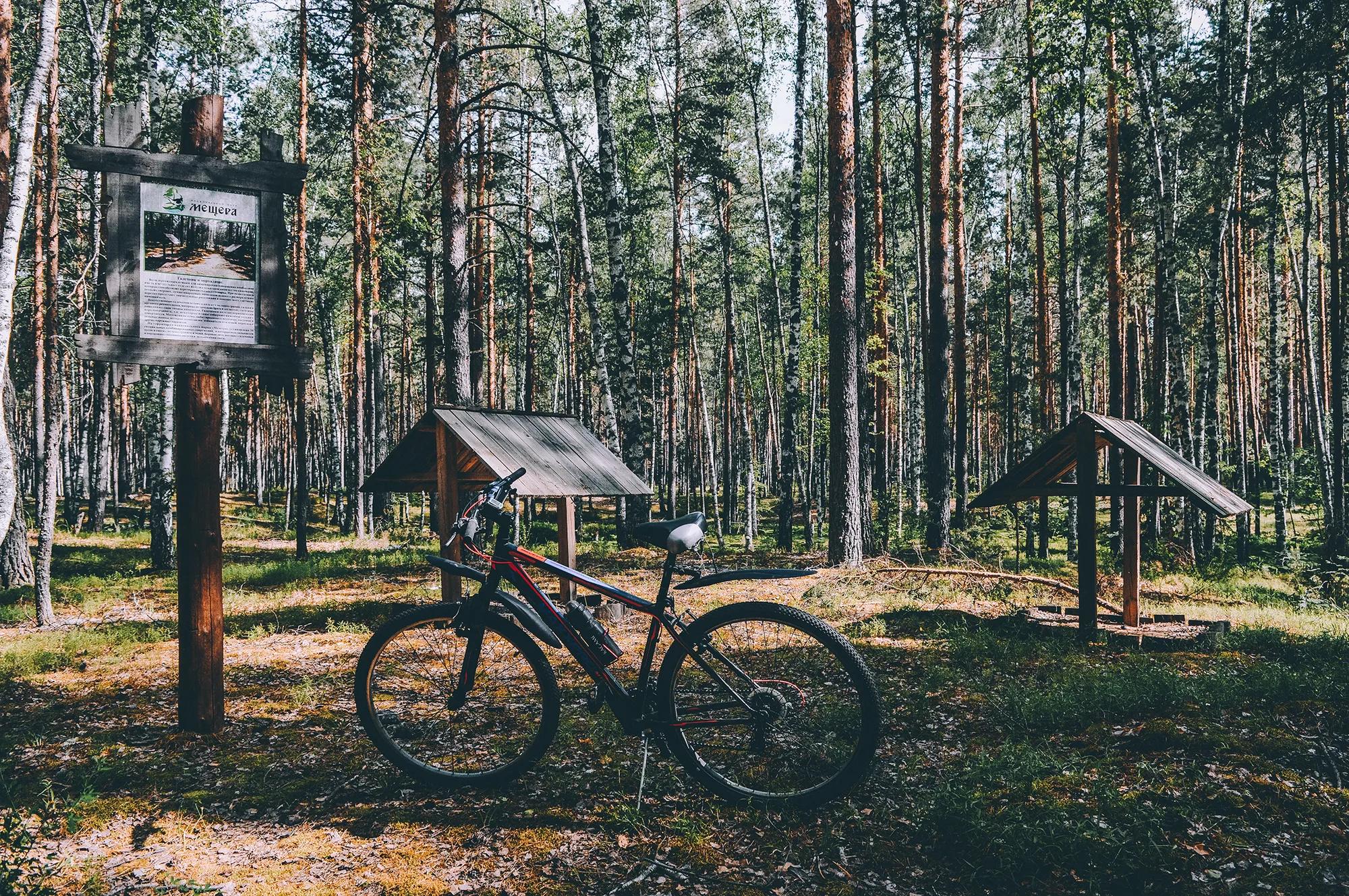 Фото: Дроздова З.