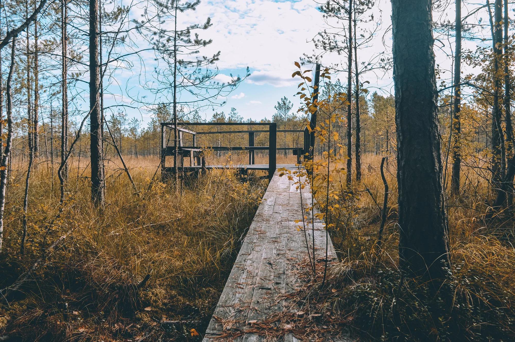 Фото: В. Львов