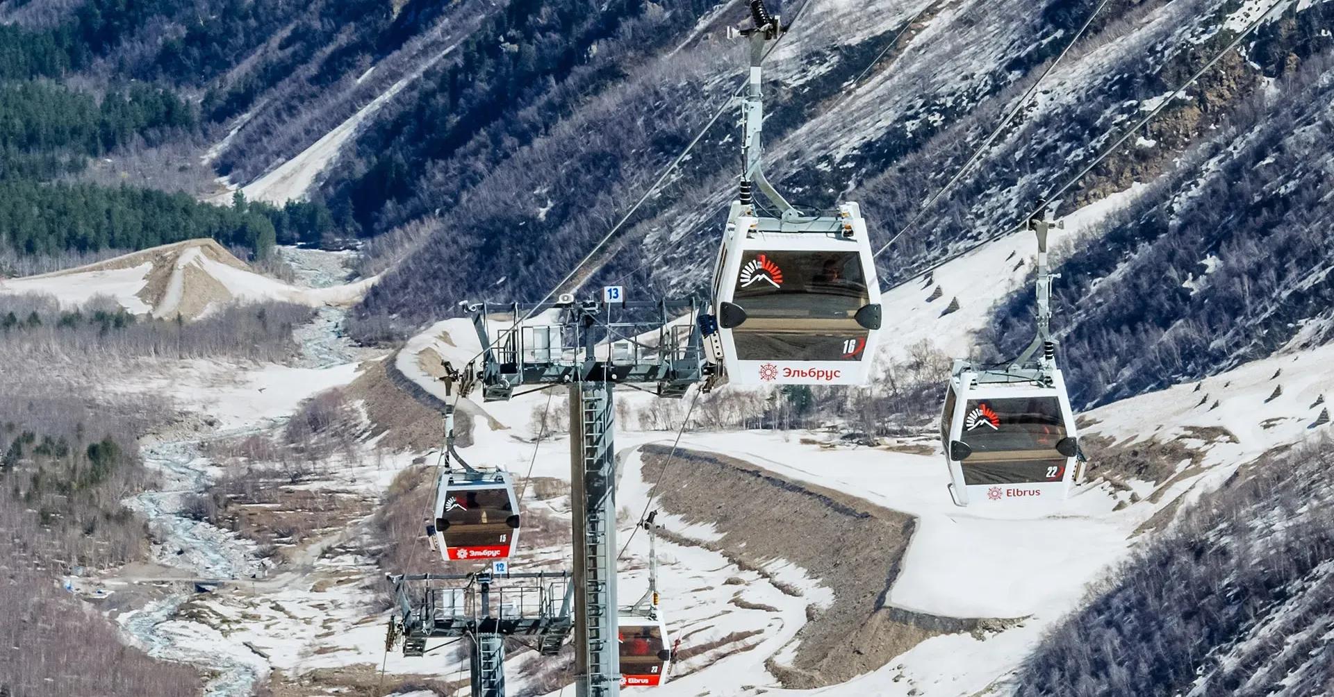 Фото: shutterstock.com (автор Viiviien)