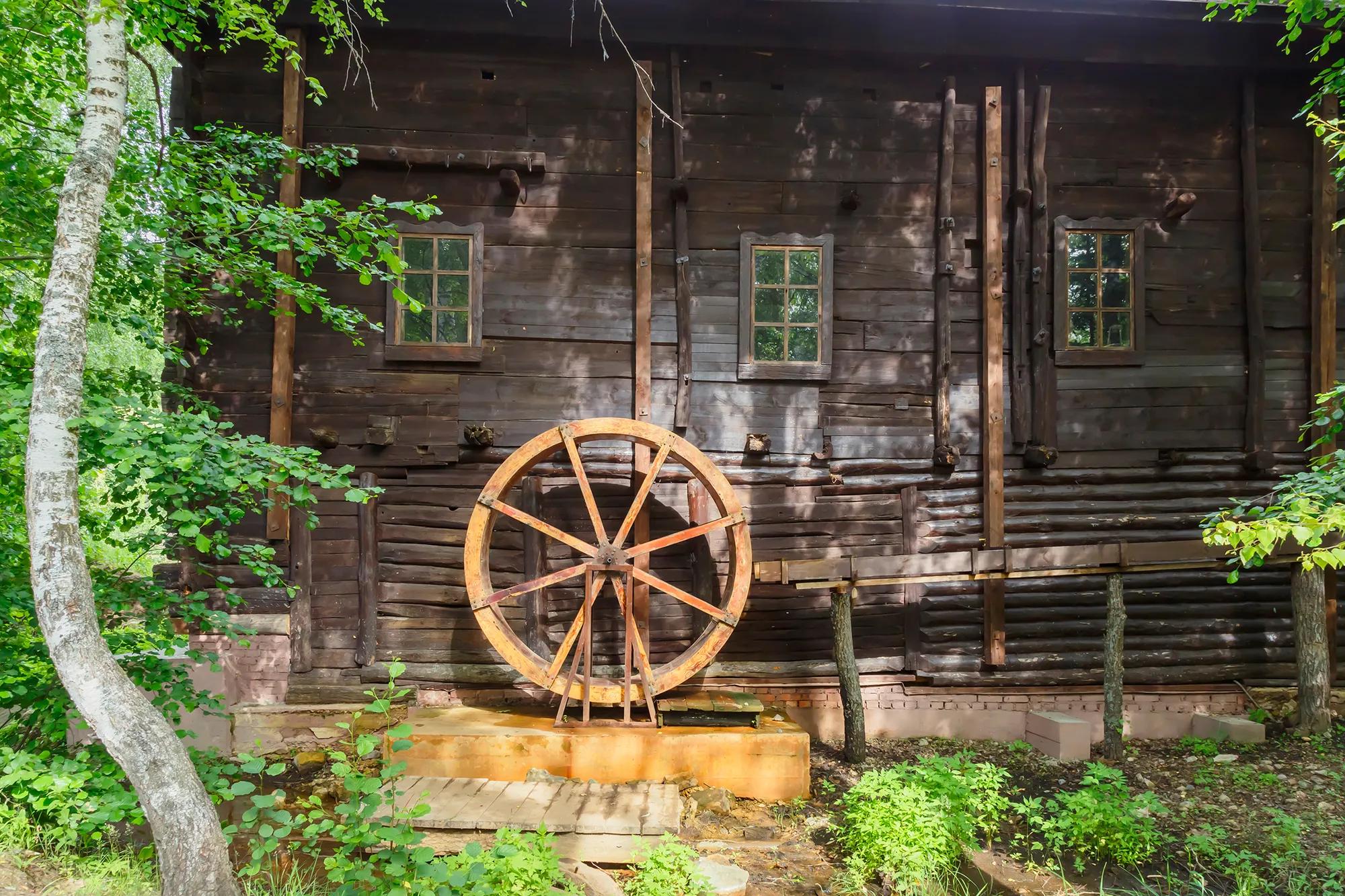 Фото: Shutterstock / Evgrafova Svetlana