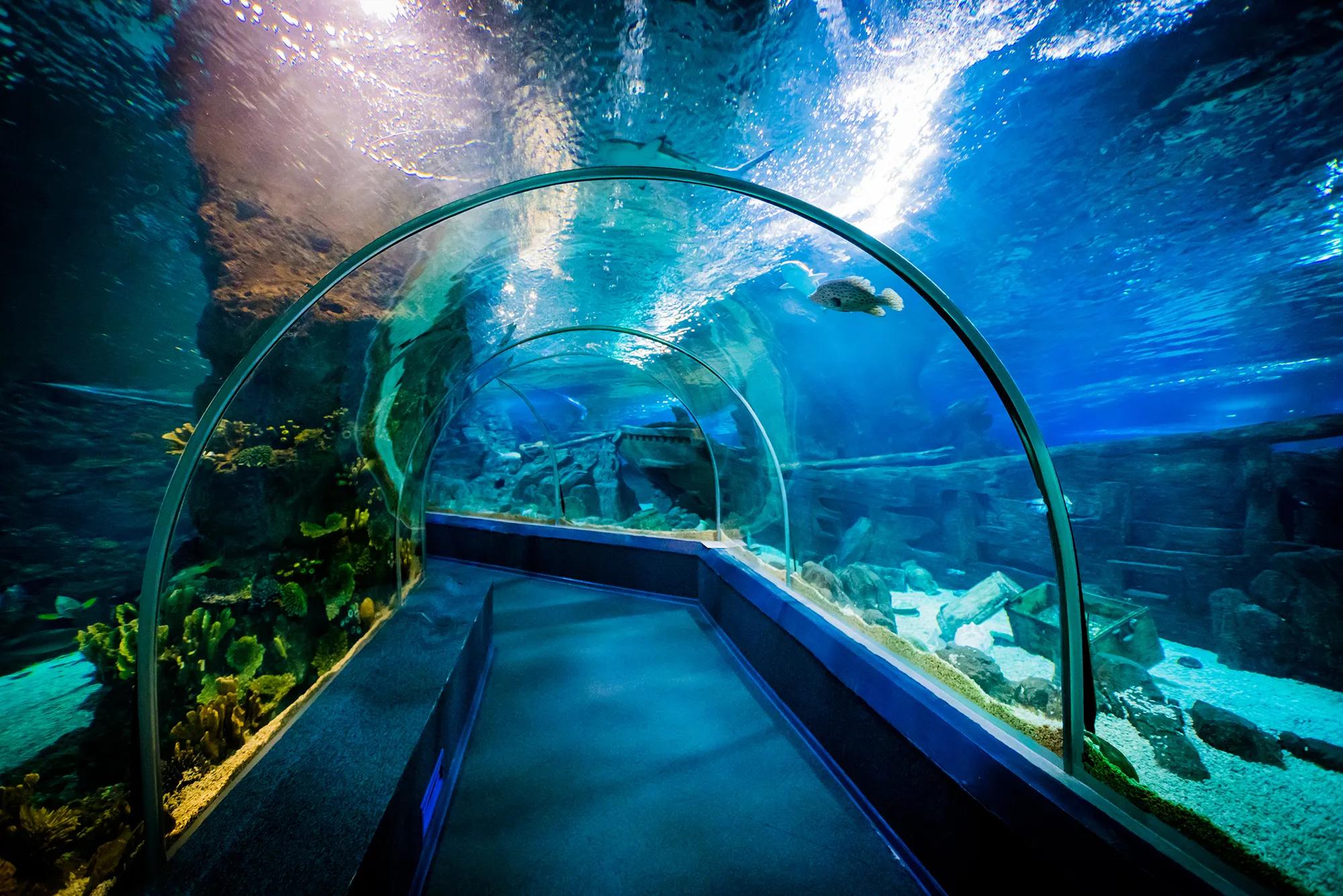 Фото: Shutterstock / Ewa Studio