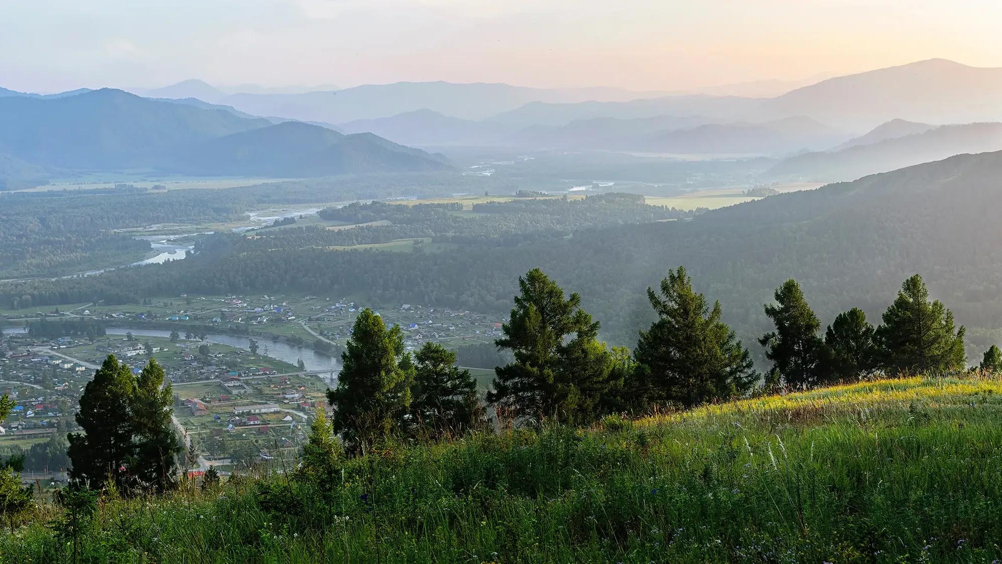 Фото: Shutterstock / Golosov Vladislav