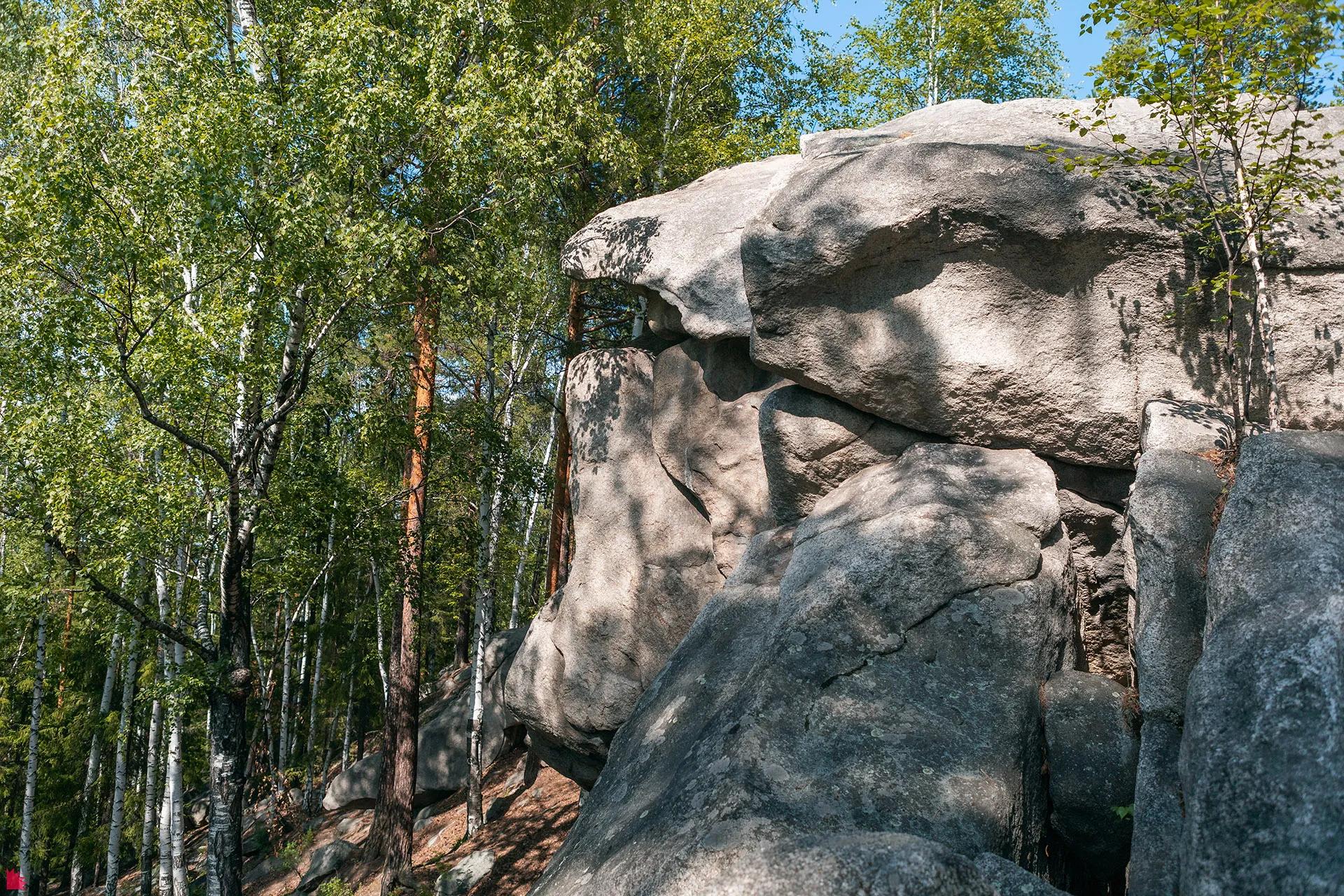 Фото: пресс-служба БУТ