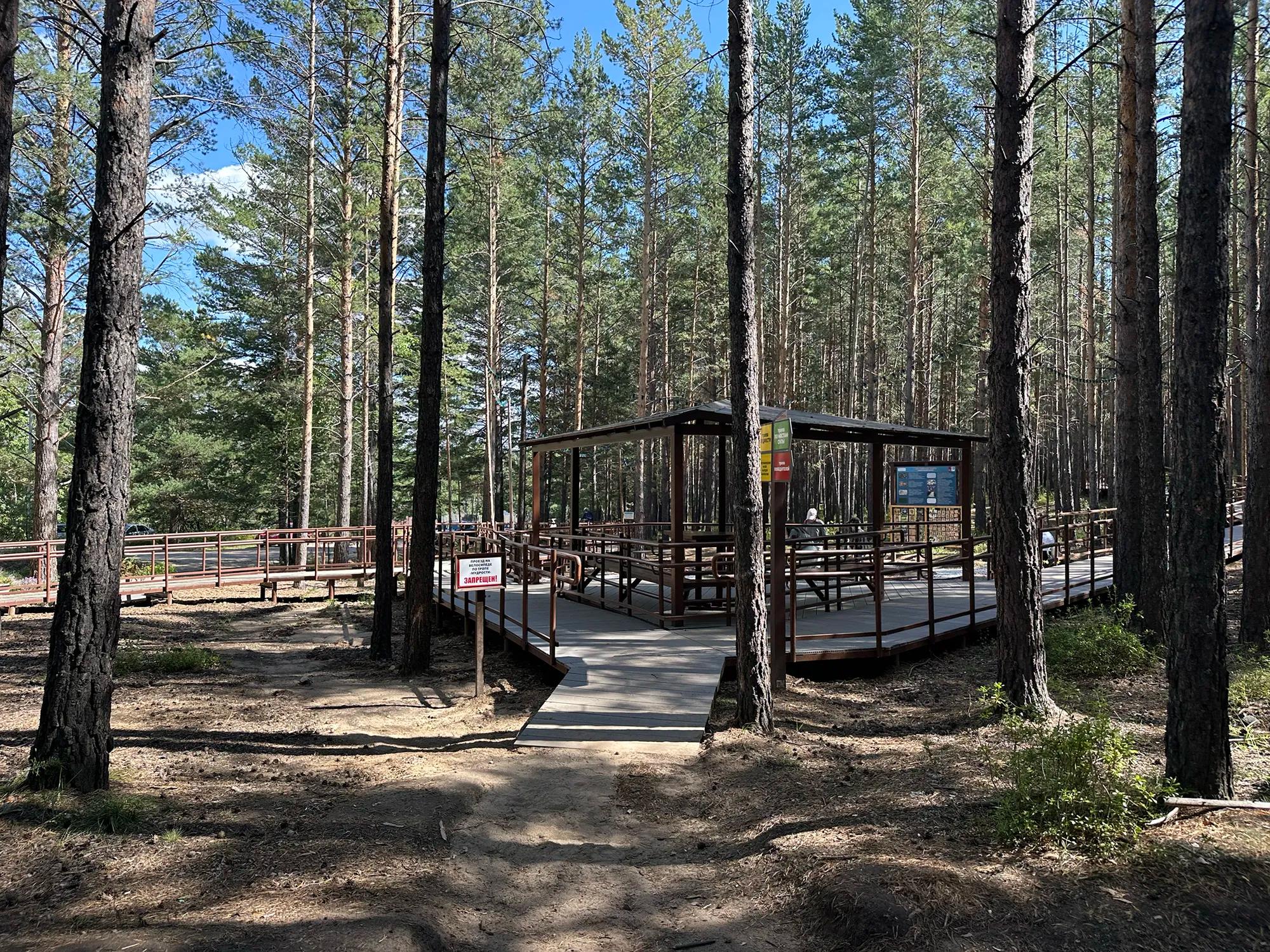 Фото: Александрова Алена