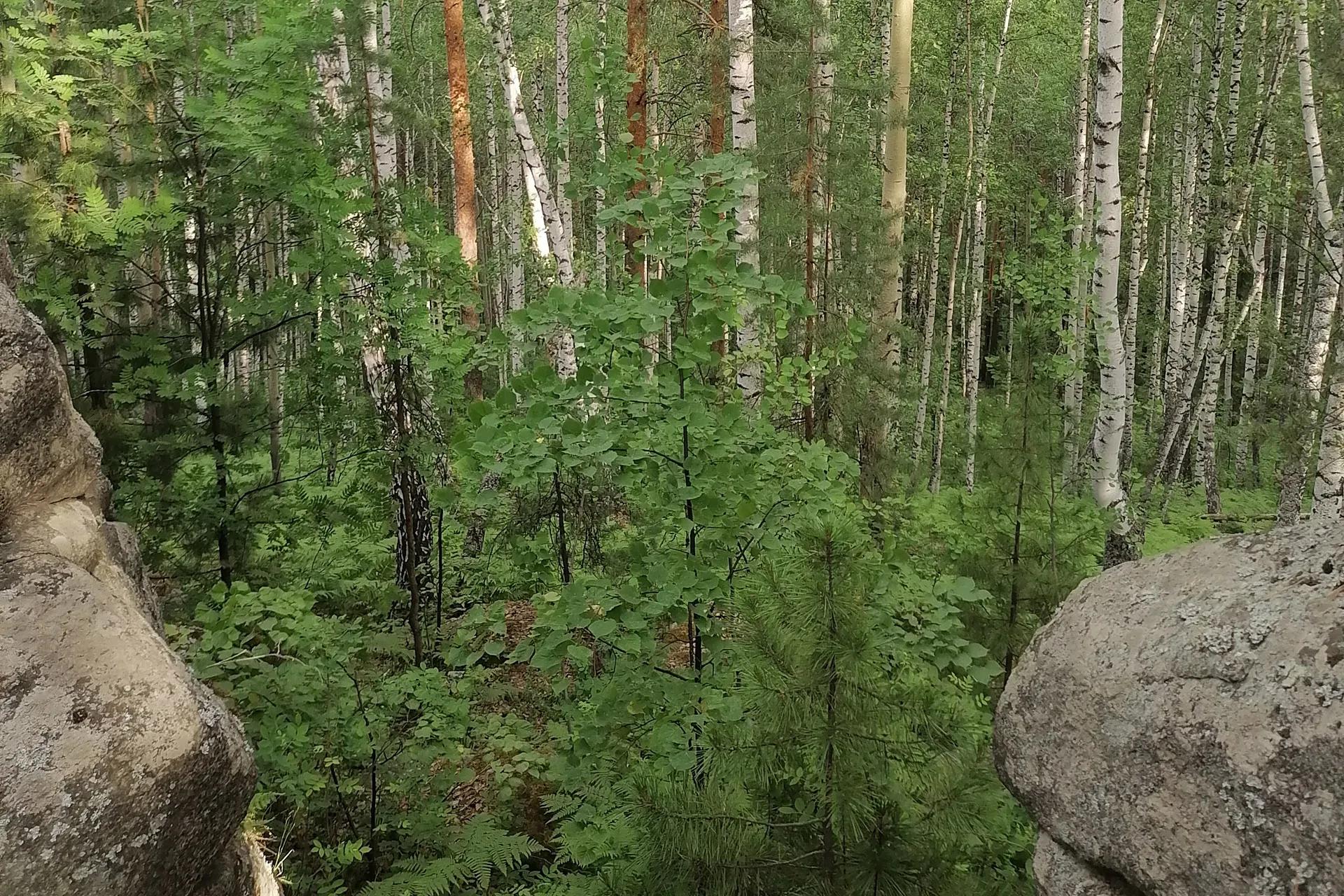 Фото: greaturaltrail.ru