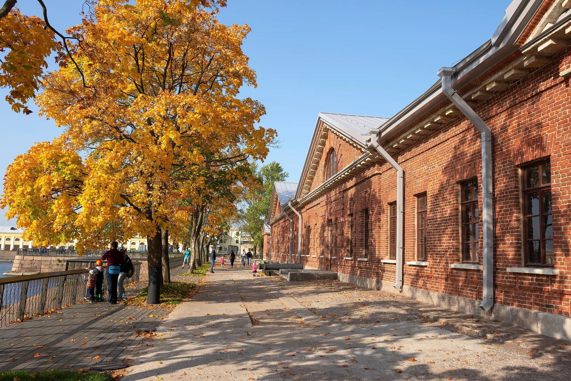 Фото: Shutterstock / Karasev Viktor