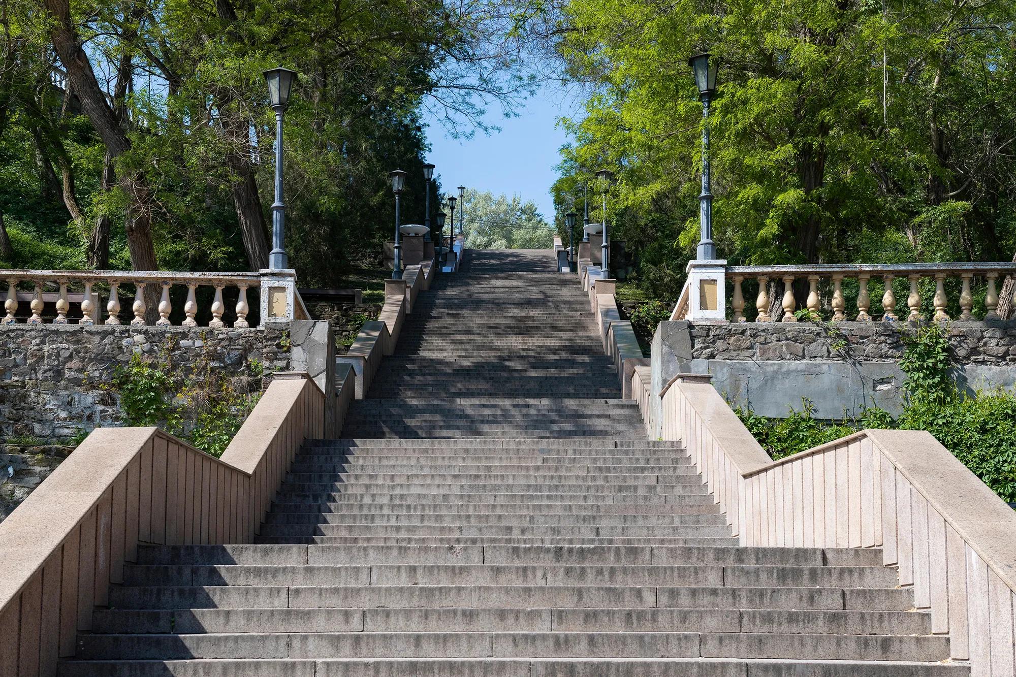 Фото: Shutterstock / Karasev Viktor