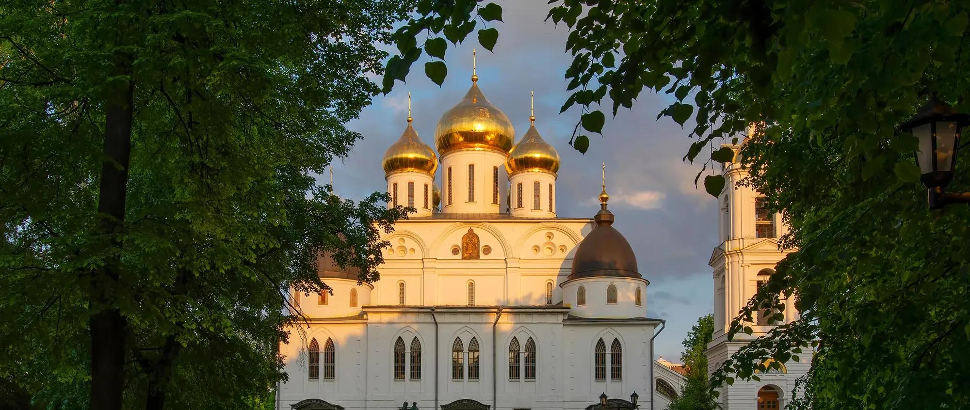 Kirill Skorobogatko shutterstock_1761863999