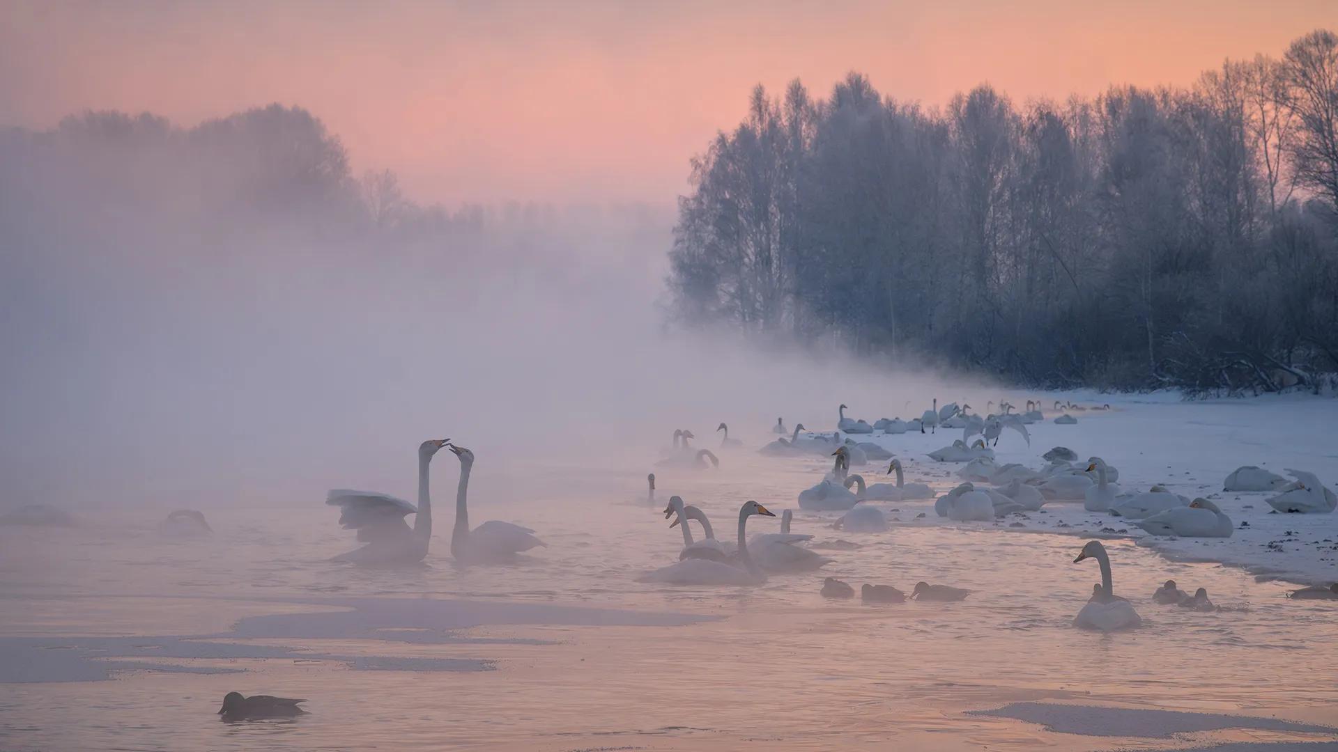 Фото: А. Кукринов