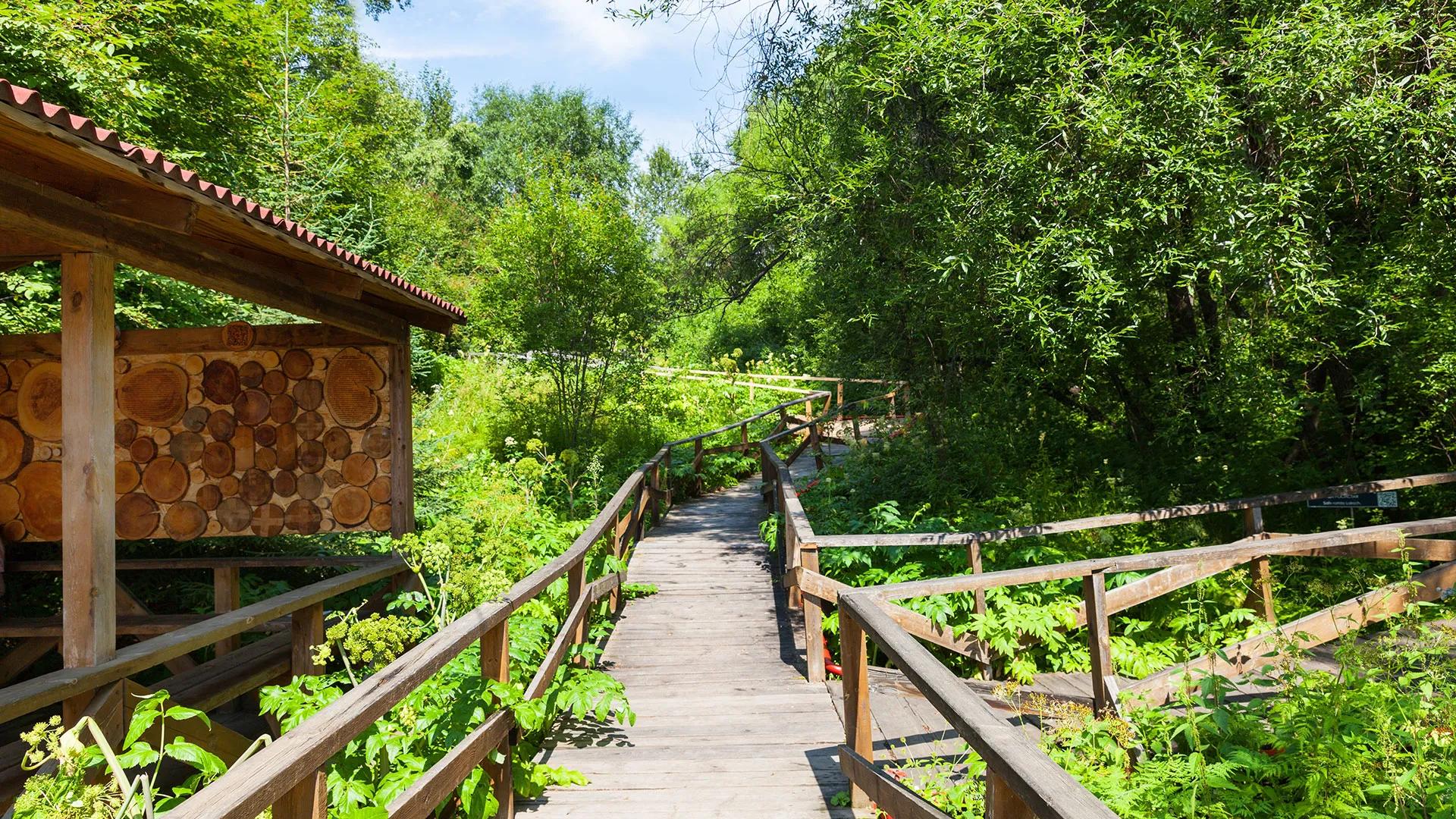 Фото: shutterstock.com (автор Katvic)