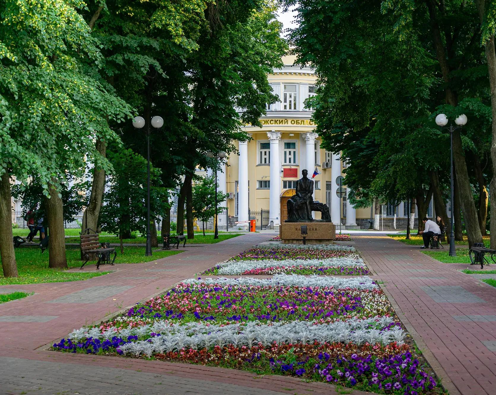 Marinodenisenko shutterstock_1457654960