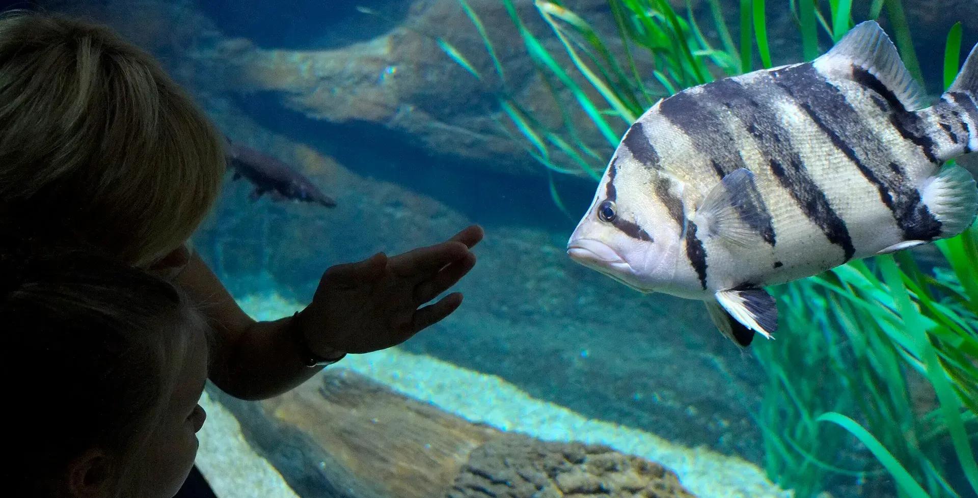 Фото: Агентство «Москва»