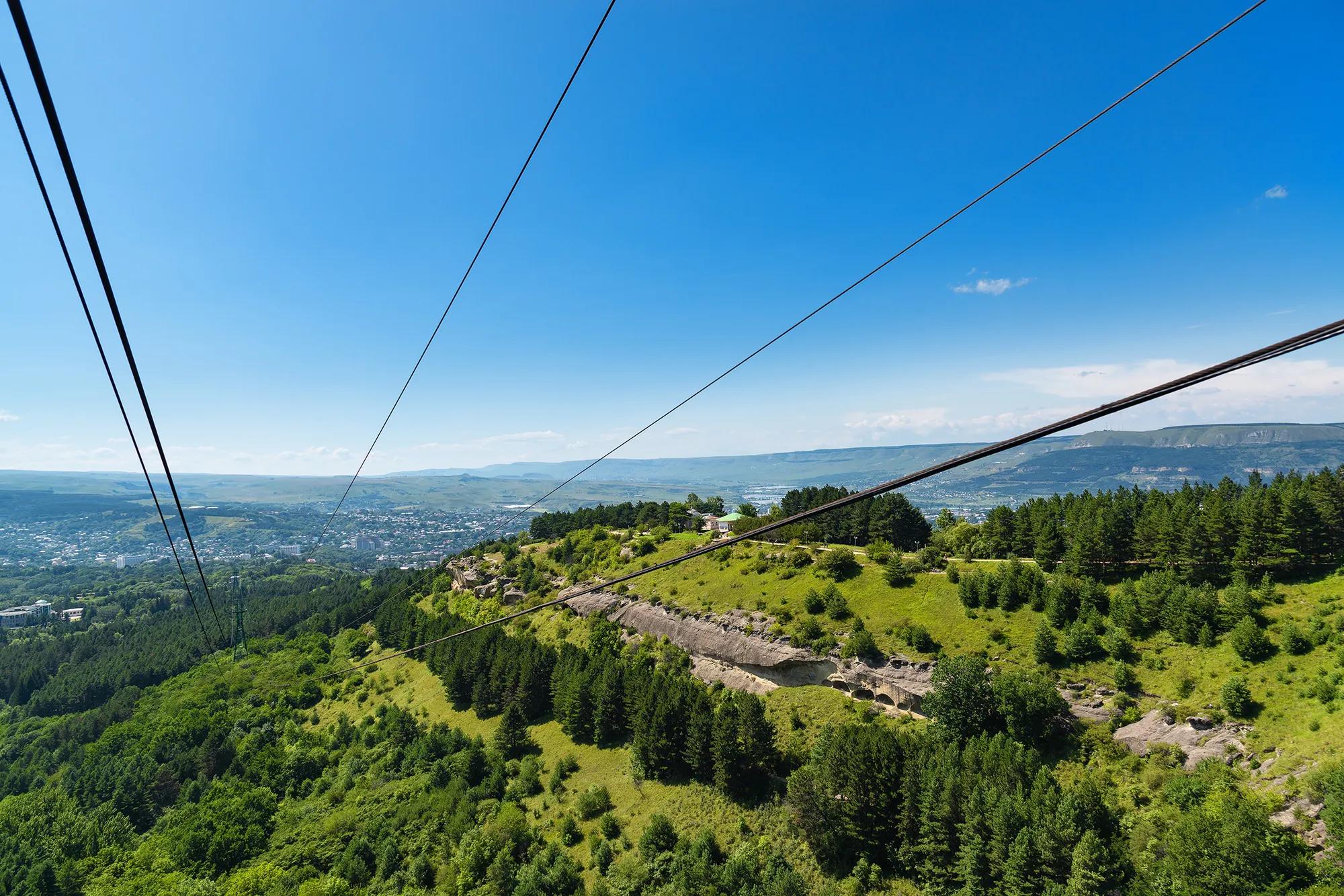 Фото: Shutterstock / Ms VectorPlus