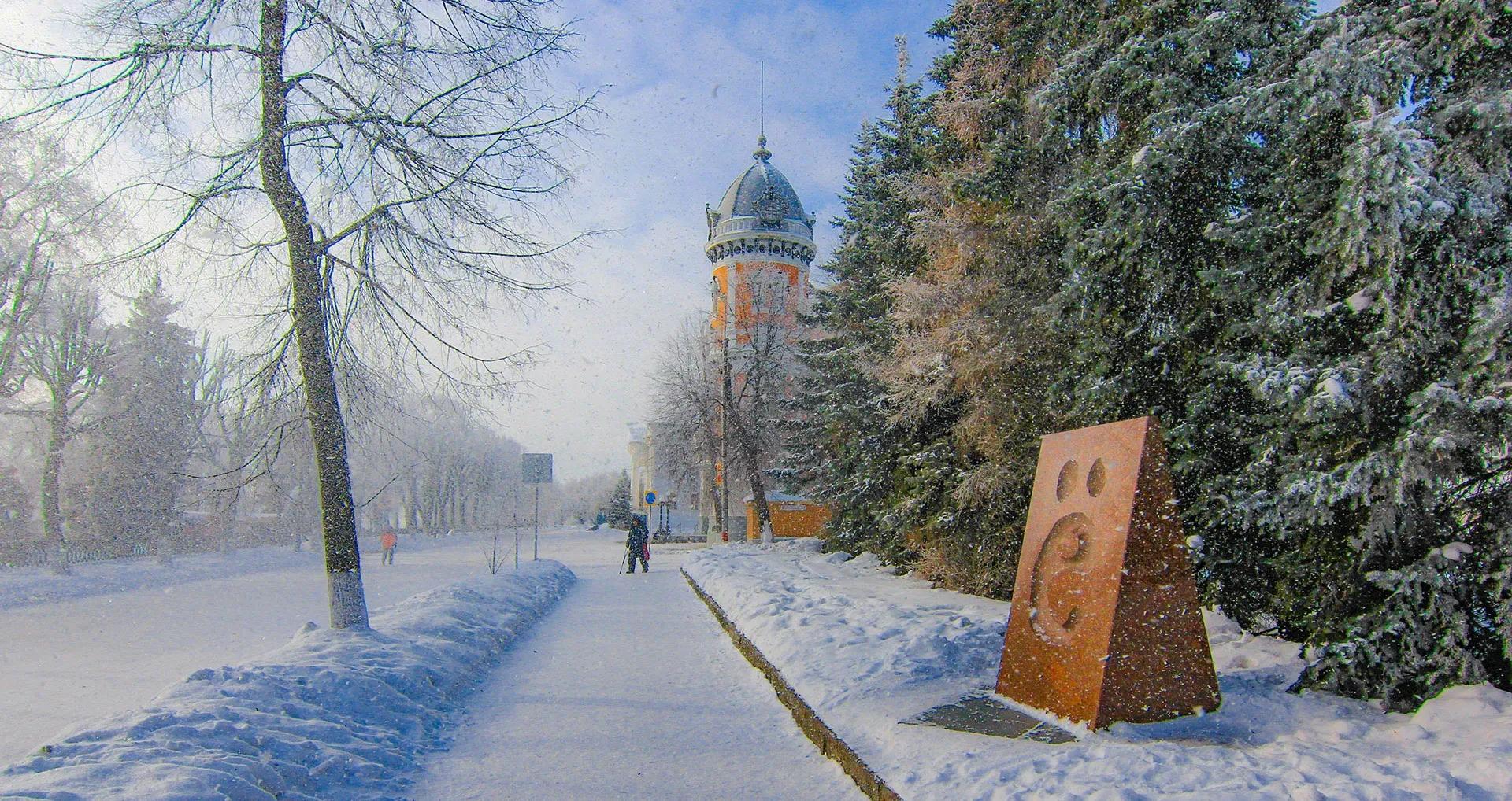 Фото Дмитрия Илюшина