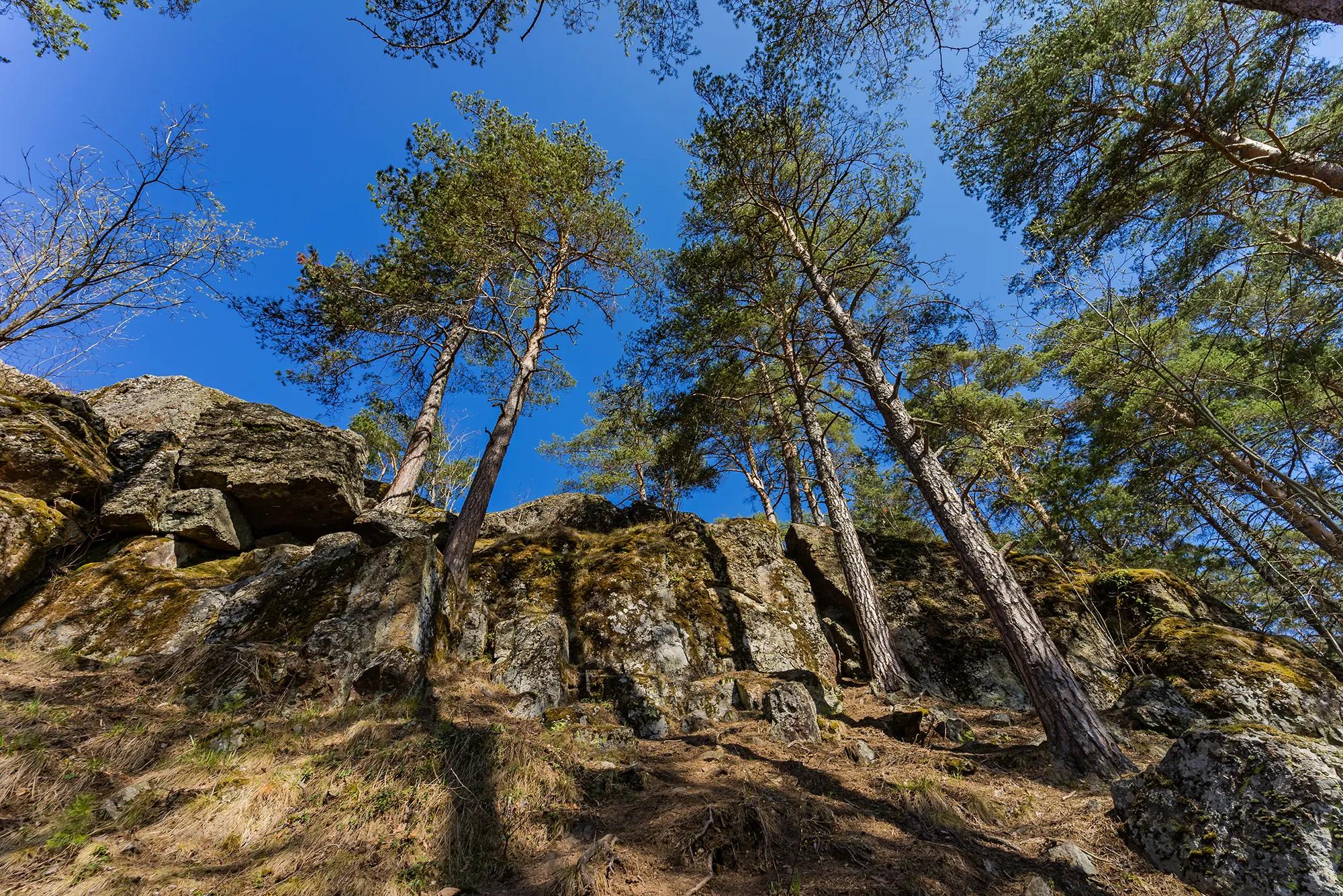Фото: Shutterstock / Potapov Sergey