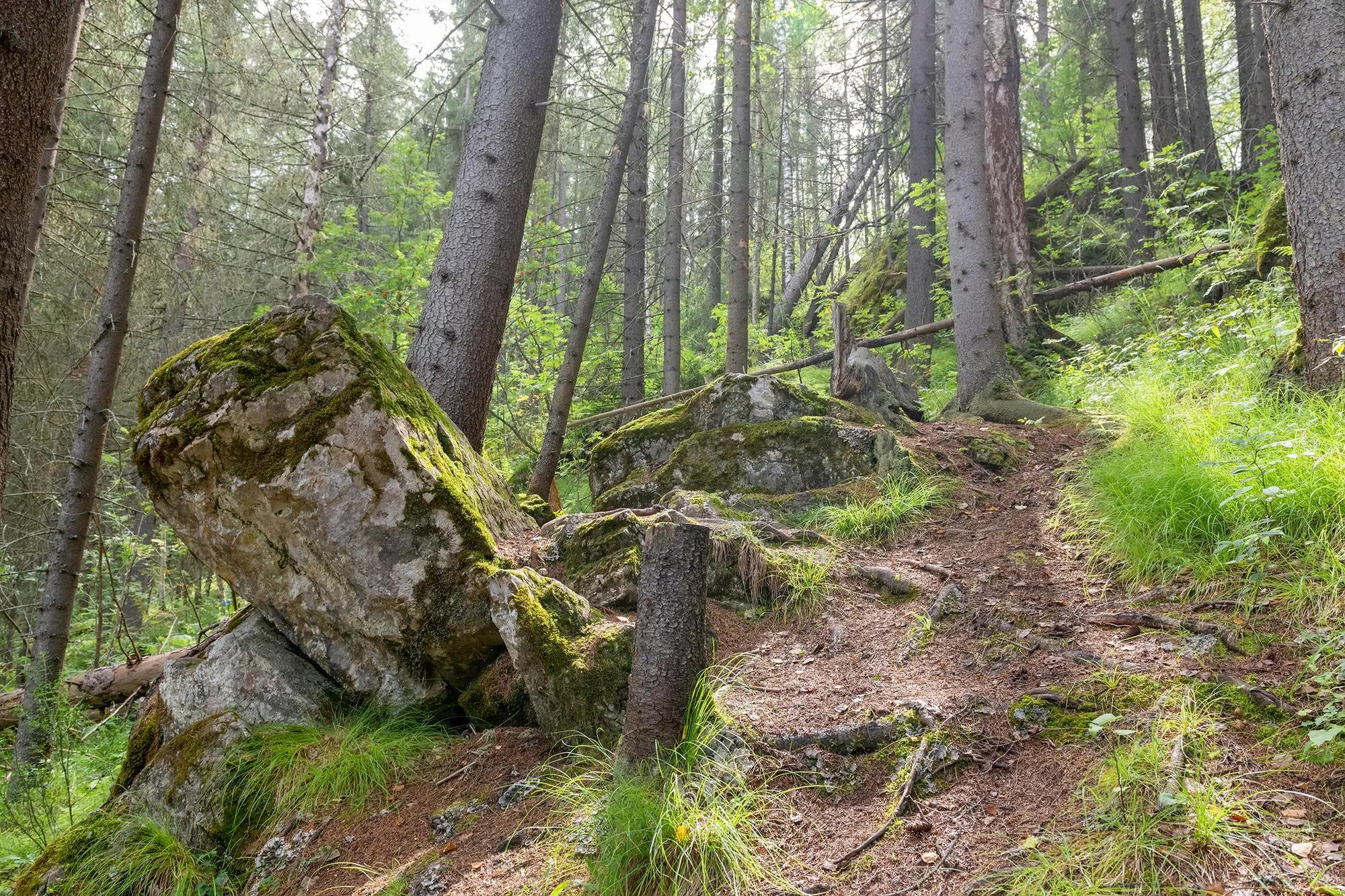Фото: Shutterstock / Pukhov K