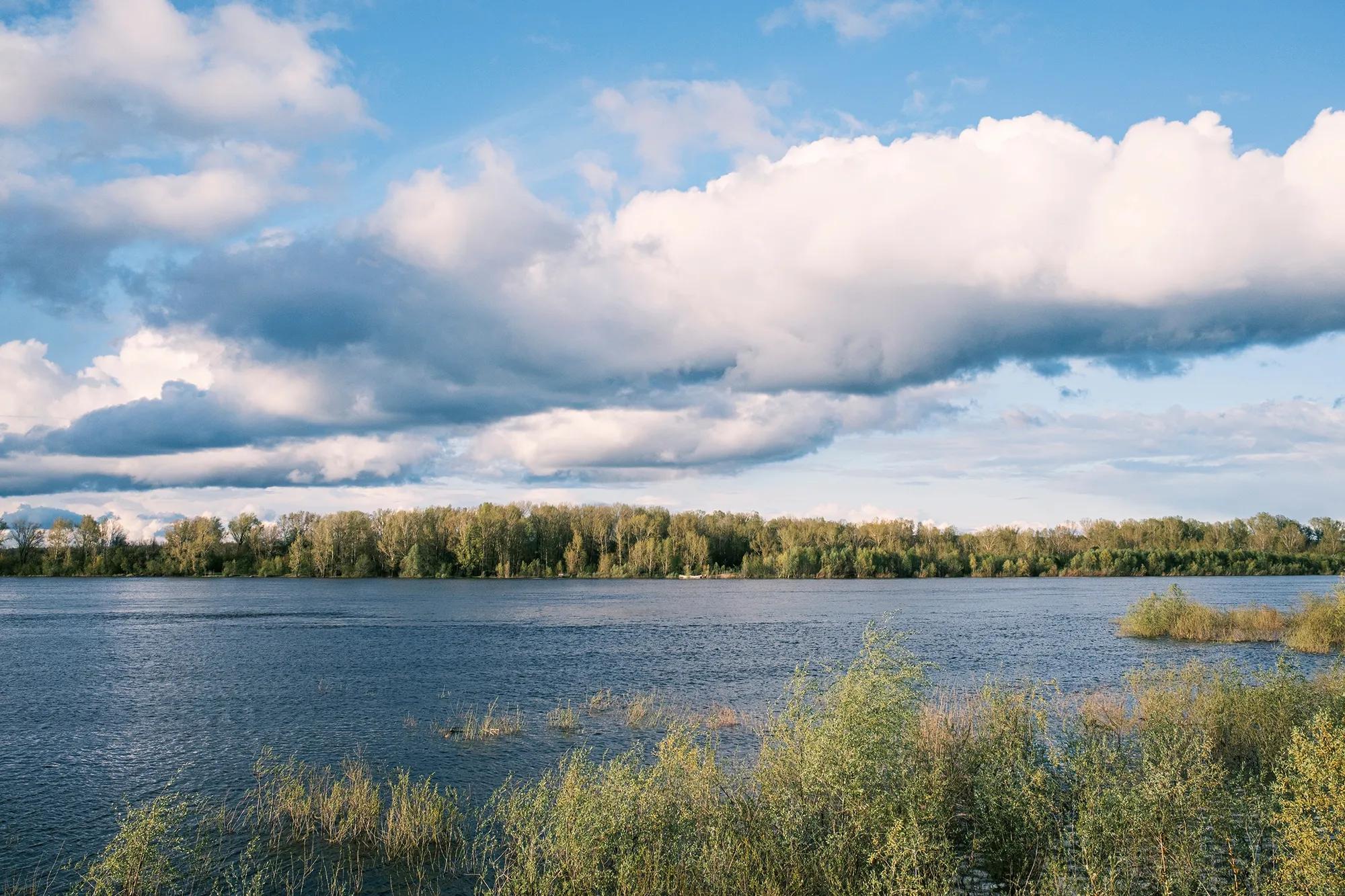Фото: Shutterstock / Sozina Kseniia