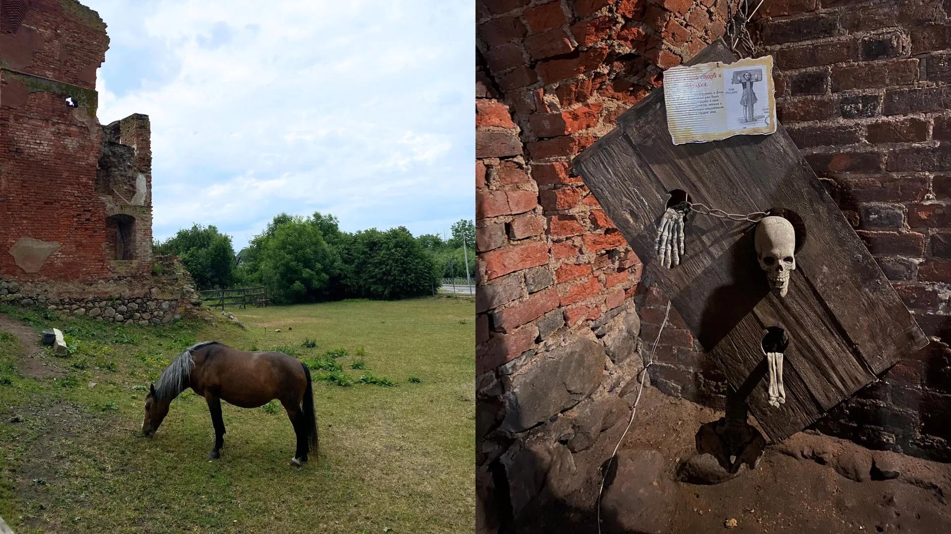 Фото: Виктория Плохих