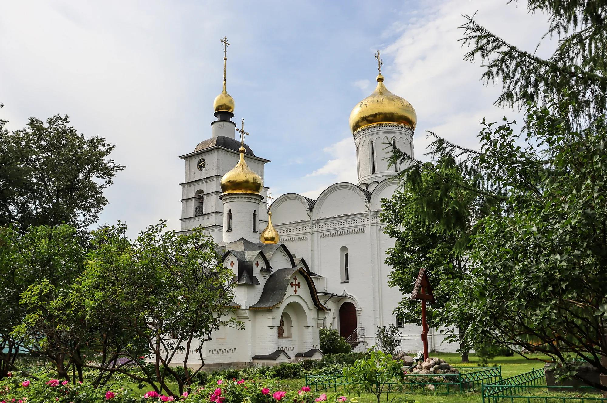 Фото: Shutterstock / Tatiana_Panova