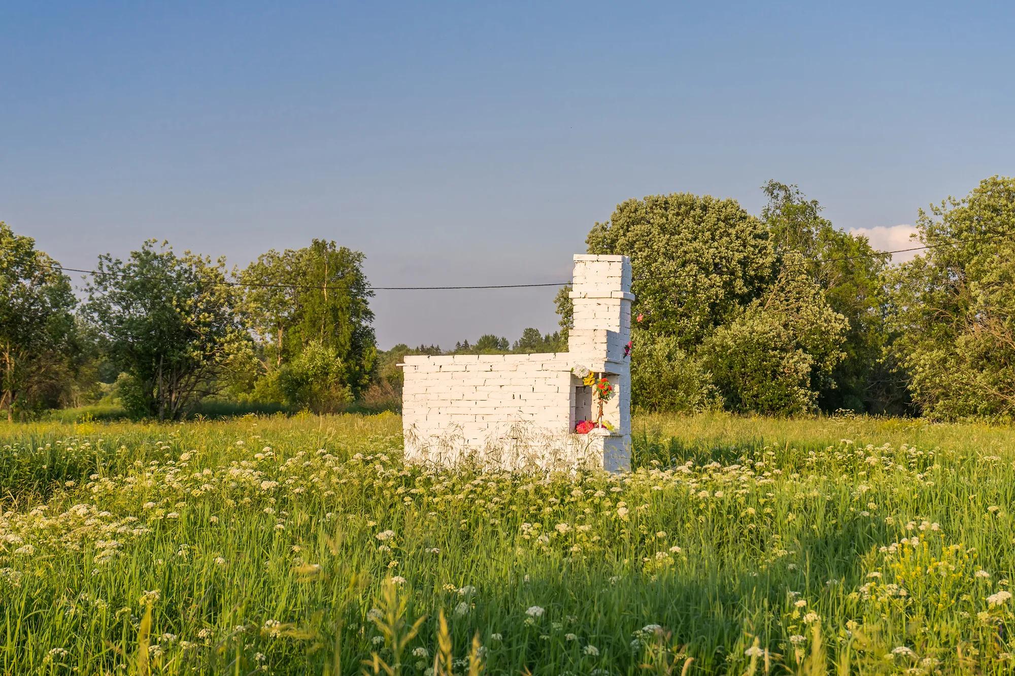 Фото: Shutterstock / Tishchenko Dmitrii