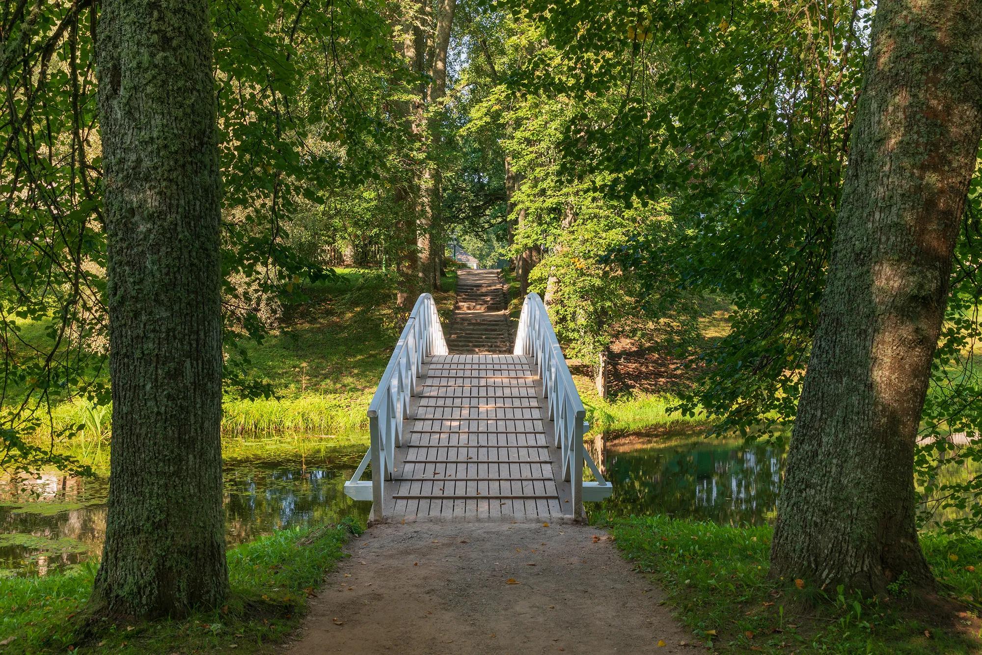 Фото: Shutterstock / Ula Ulachka