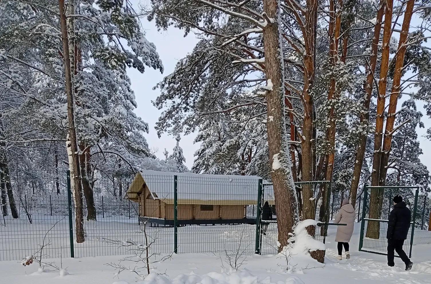 Кемпинг Панорама Брянская область