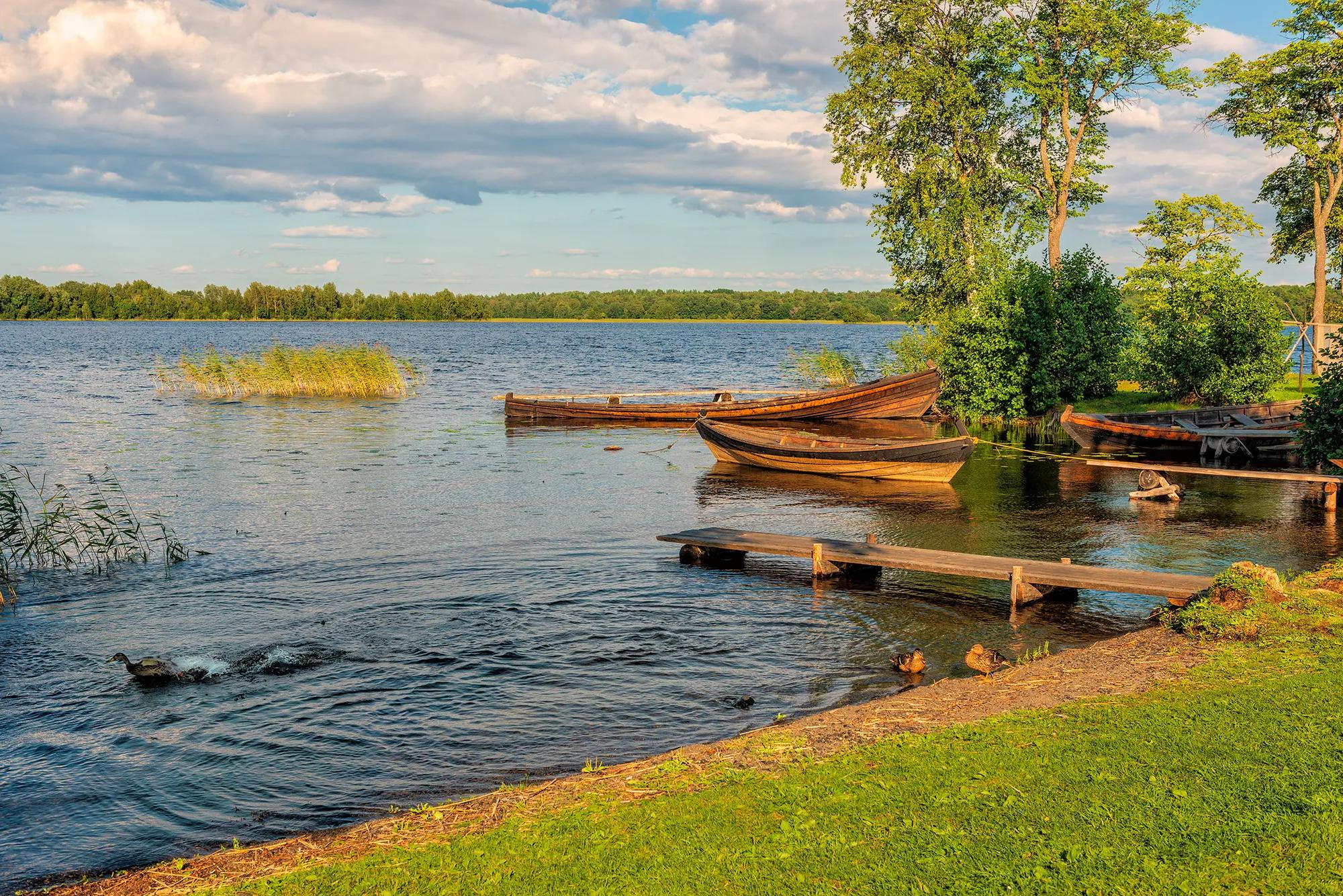 Vladimir Usharov shutterstock_2473593783