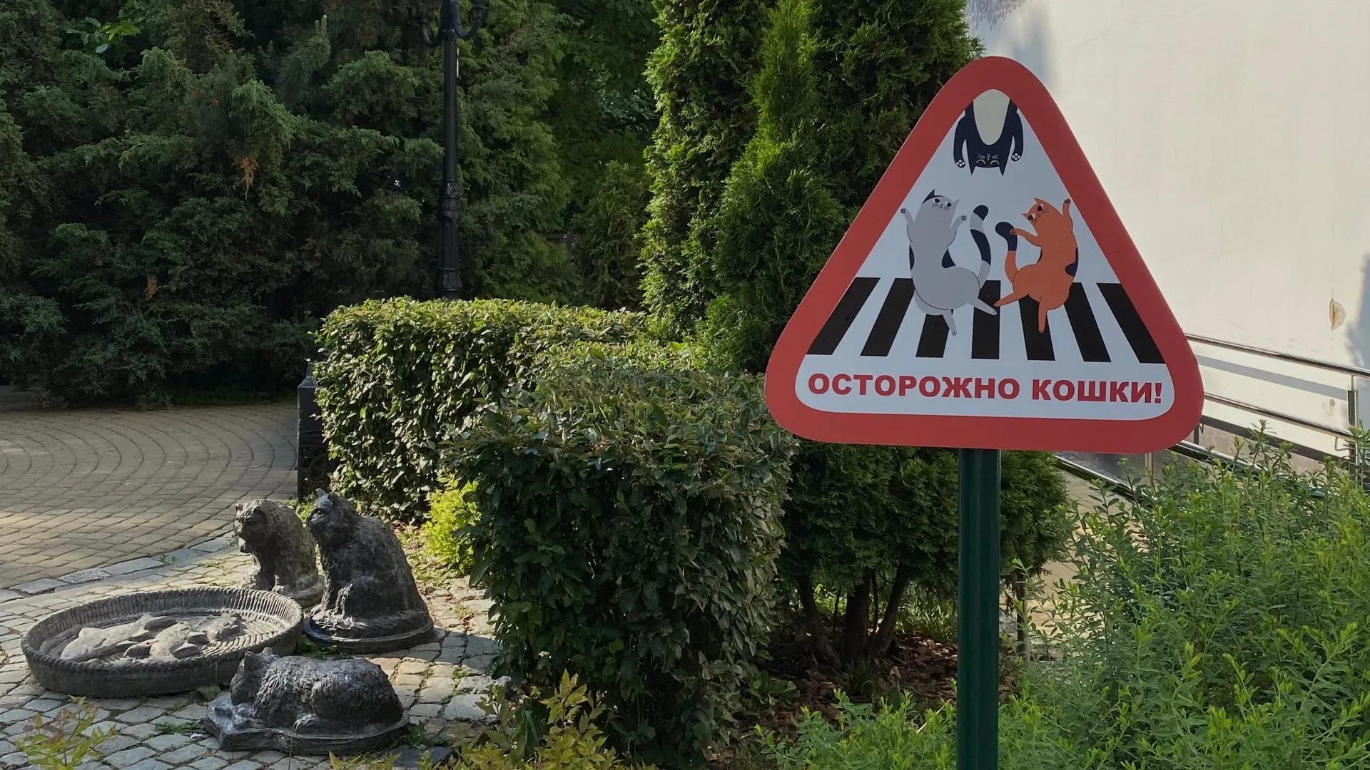 Фото: Виктория Плохих